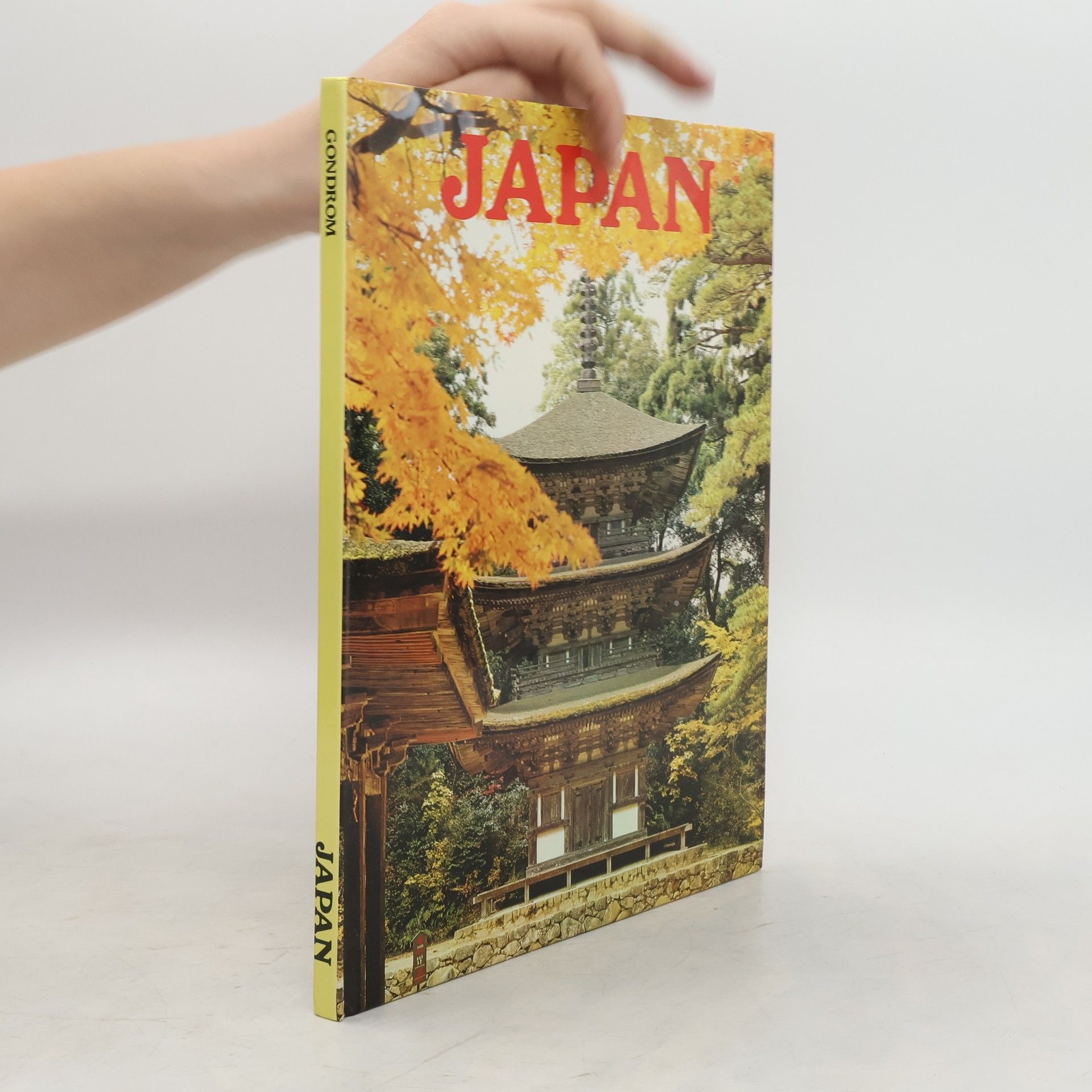 Autores varios Japan