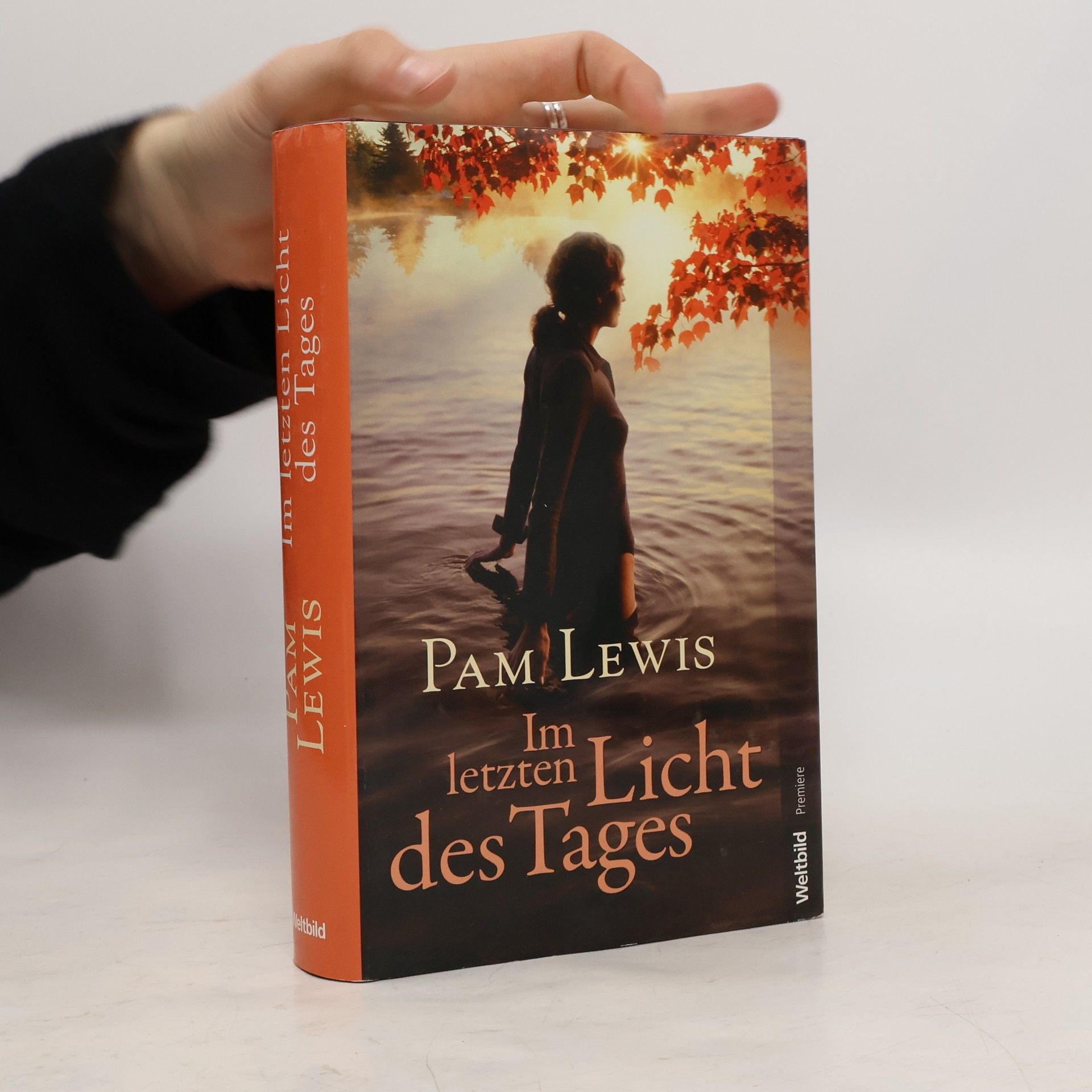 Pam Lewis Im letzten Licht des Tages