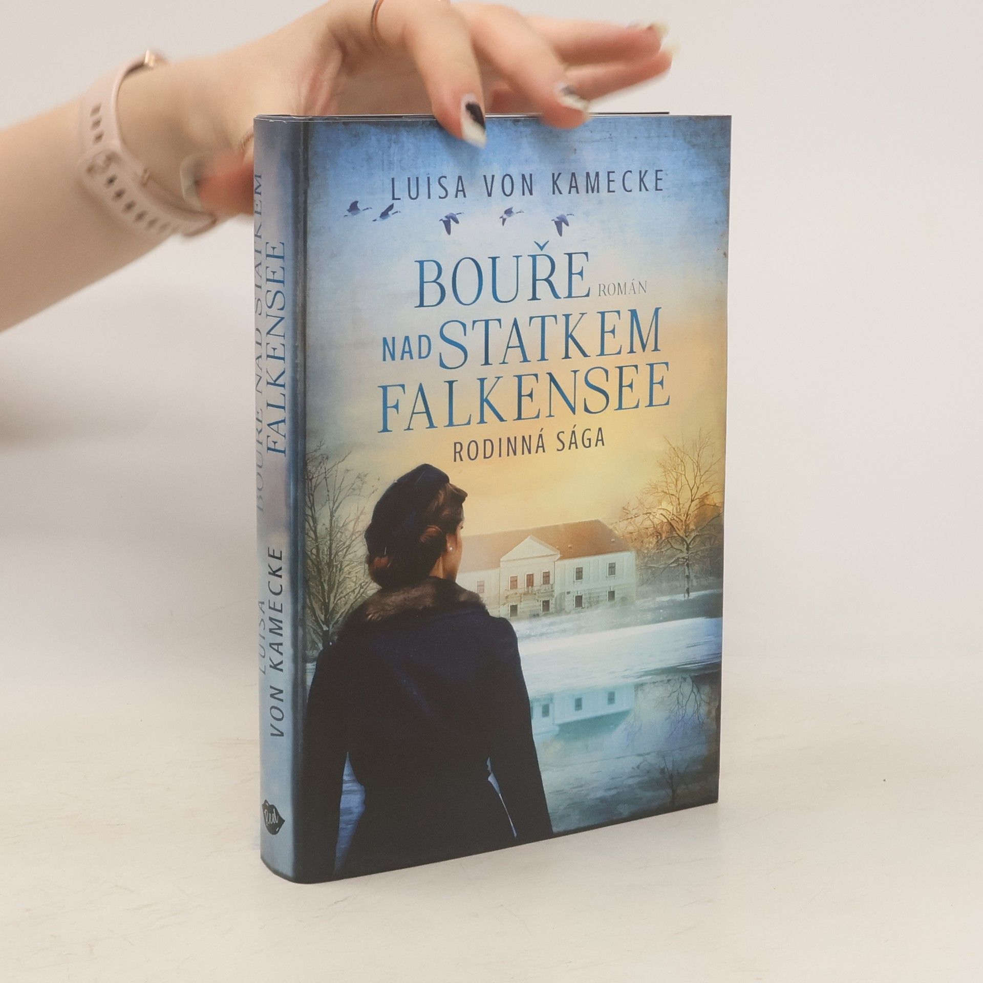 Luisa von Kamecke Bouře nad statkem Falkensee