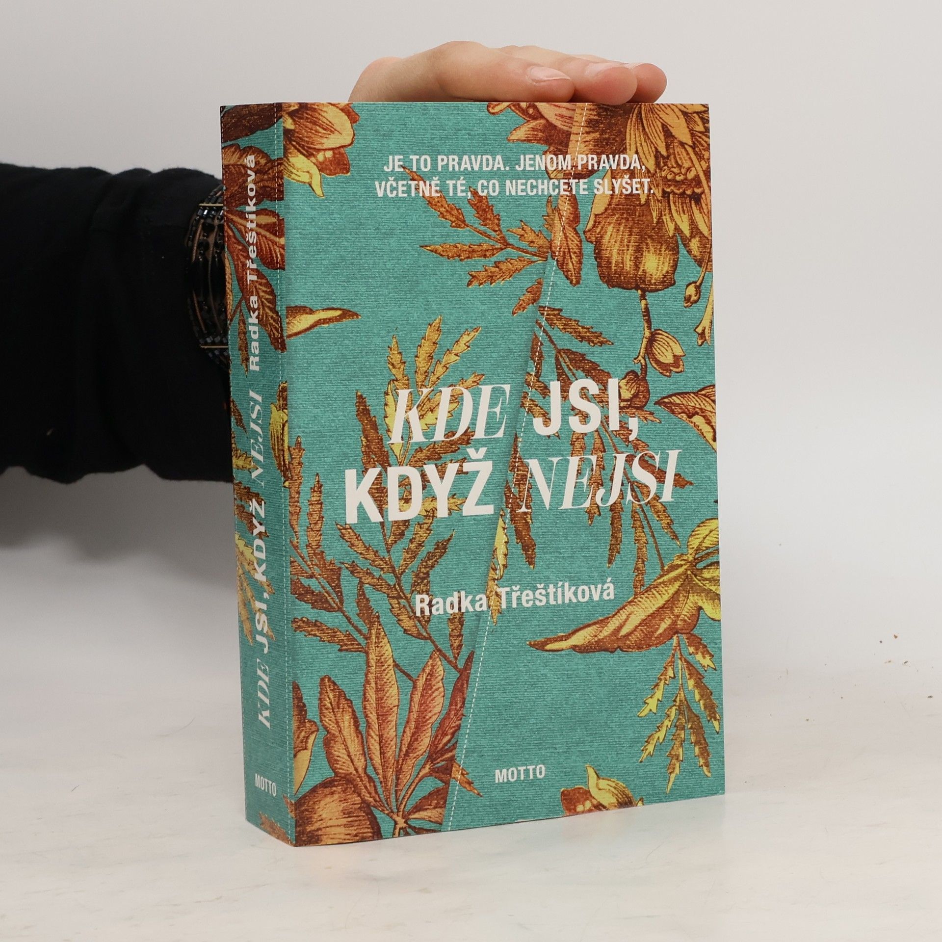 Radka Třeštíková Kde jsi, když nejsi