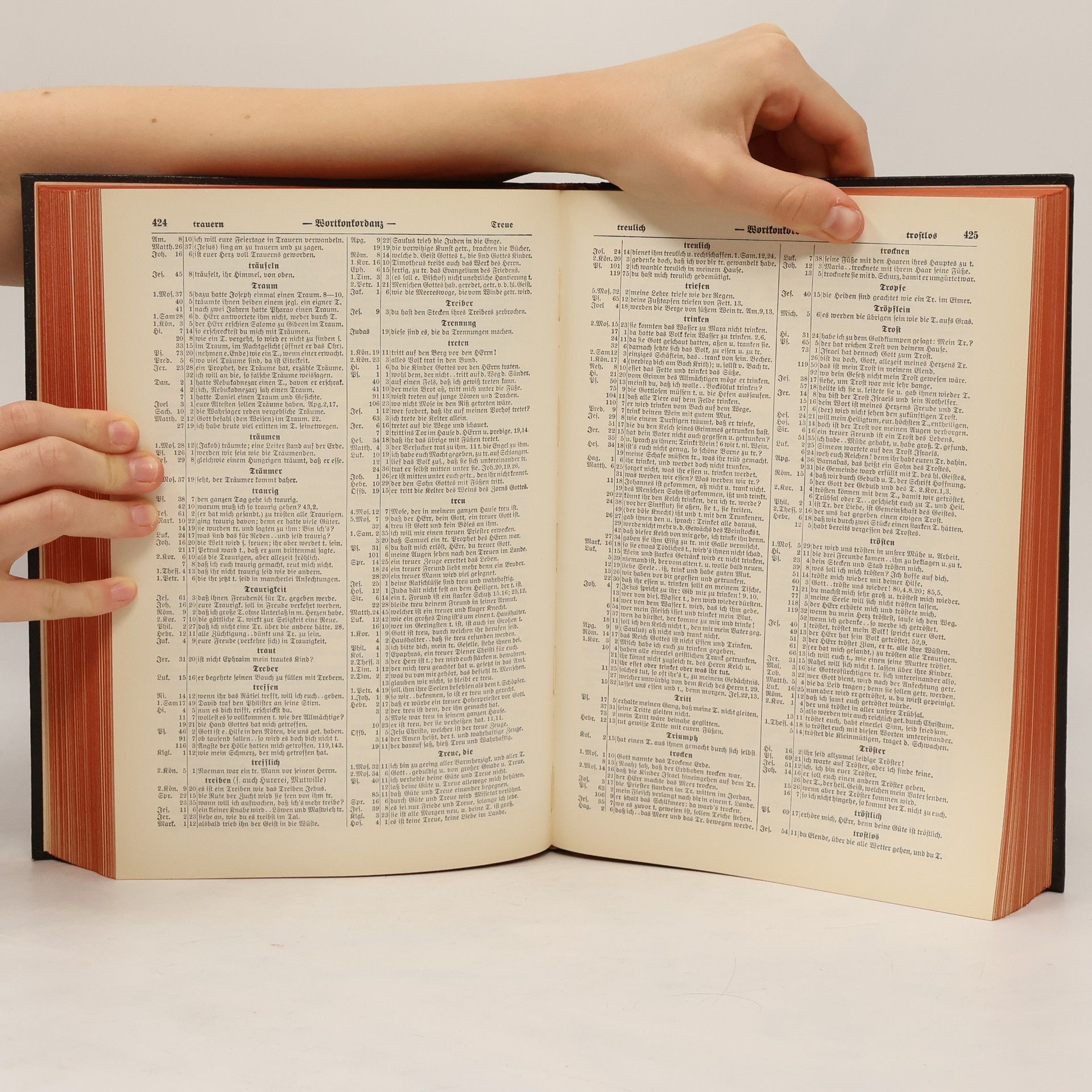Autorenkollektiv Stuttgarter Biblisches Nachschlagewerk
