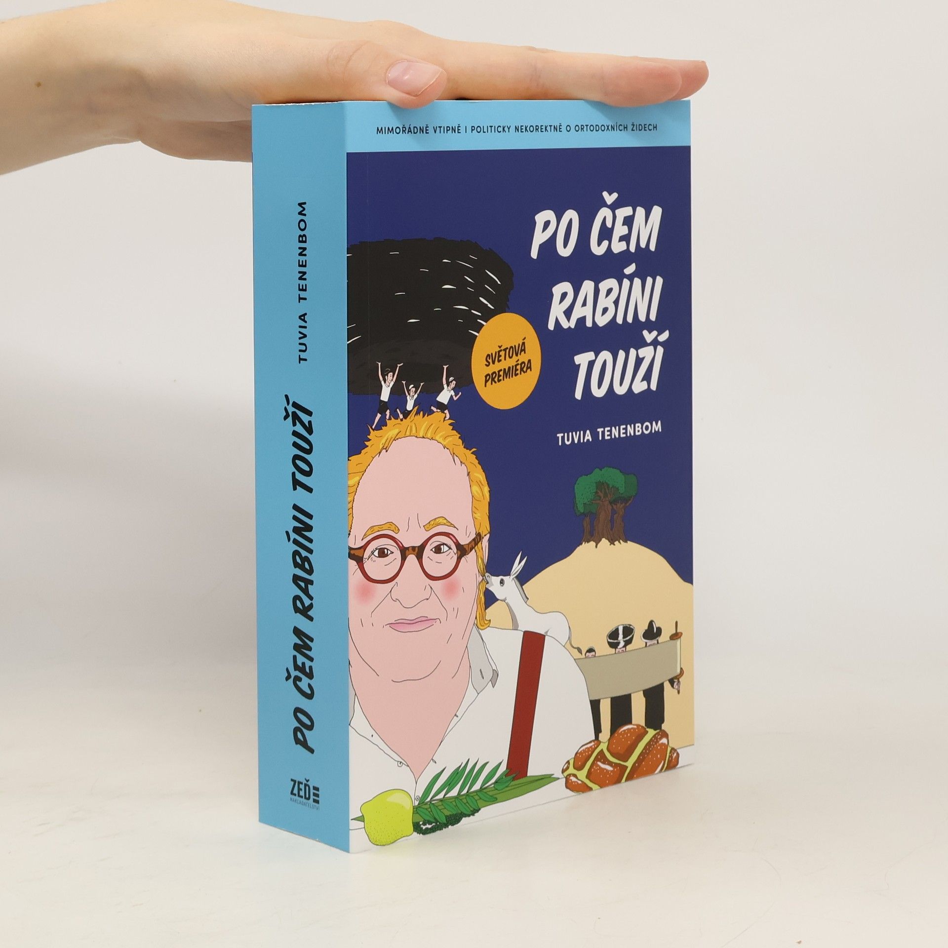 Tuvia Tenenbom Po čem rabíni touží : mimořádně vtipná i politicky nekorektní zpráva o ortodoxních Židech