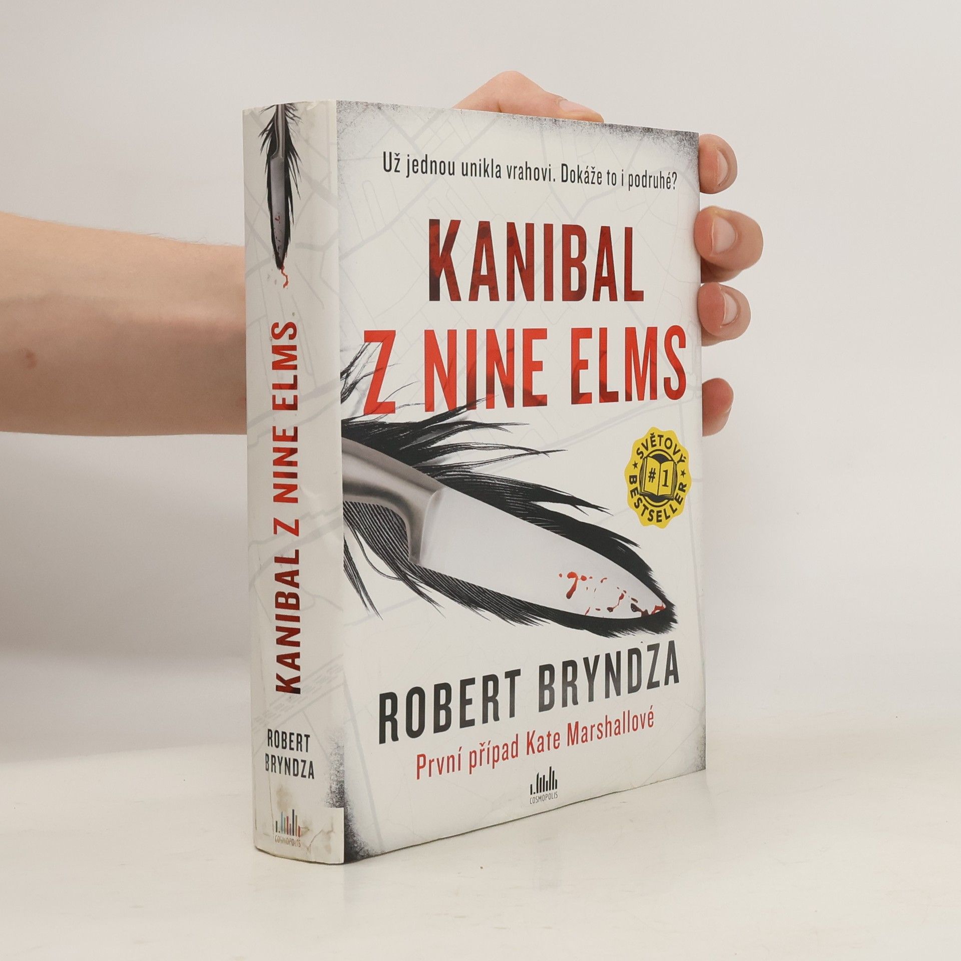 Robert Bryndza Kanibal z Nine Elms