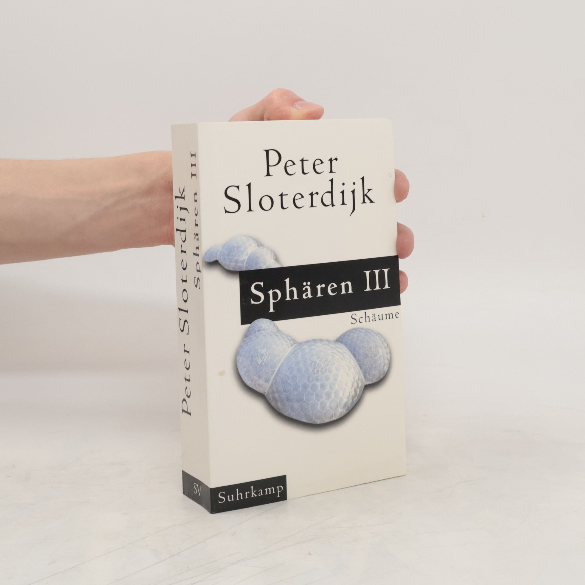Peter Sloterdijk Sphären III