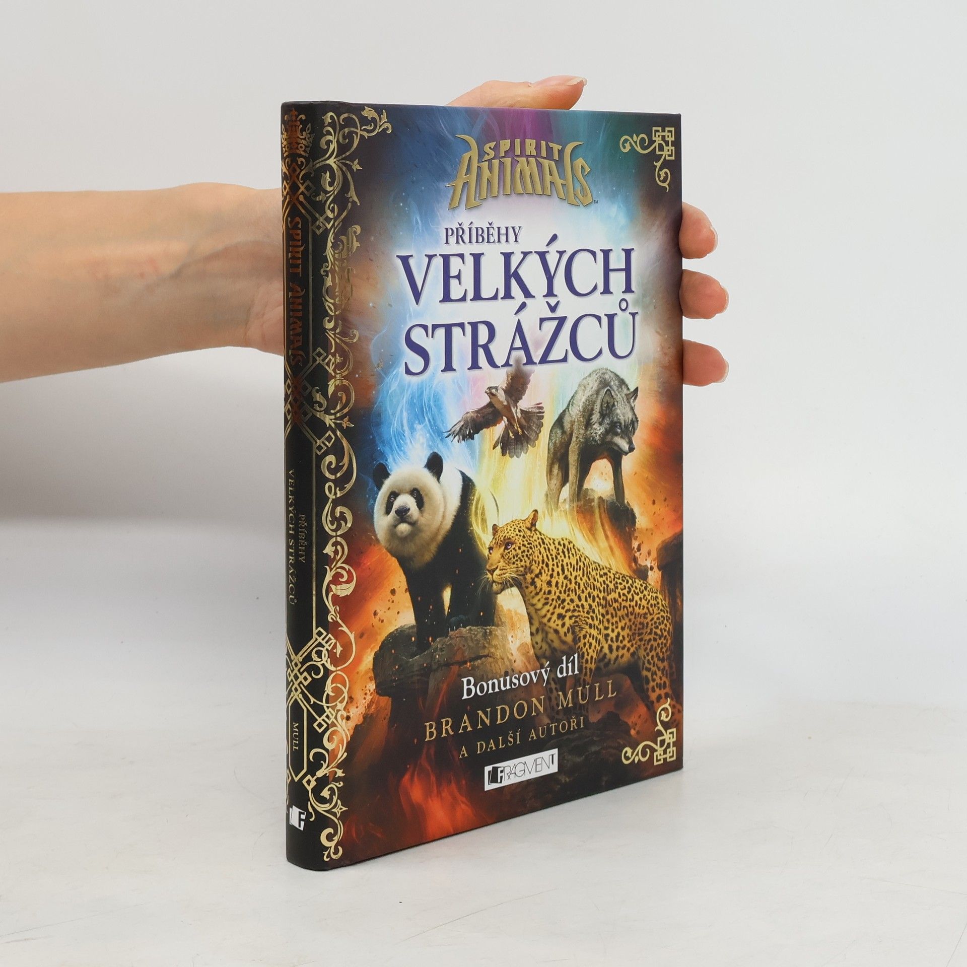Brandon Mull Příběhy Velkých strážců