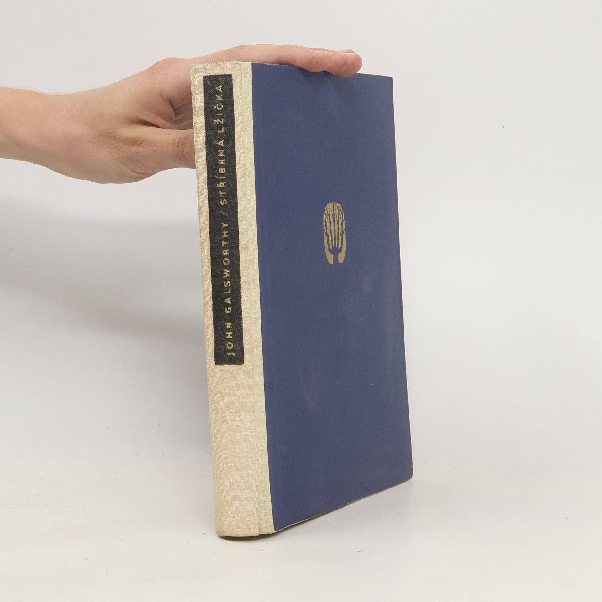 John Galsworthy Stříbrná lžička