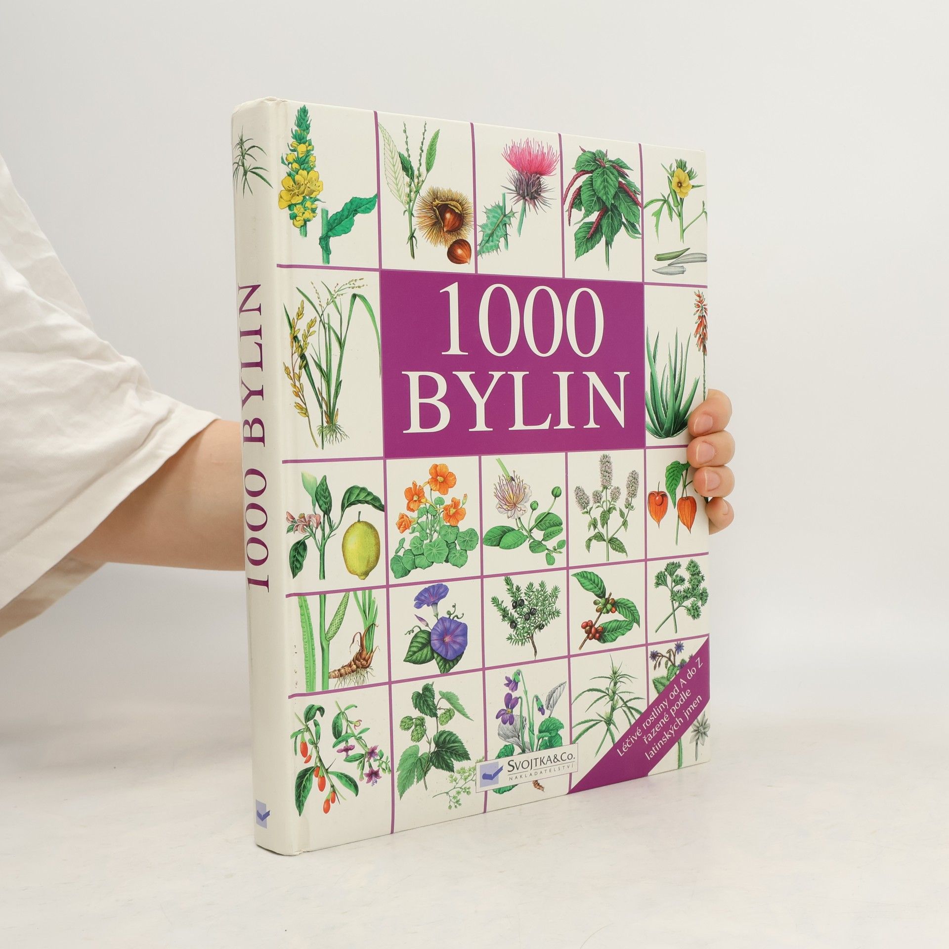 AA.VV. 1000 bylin