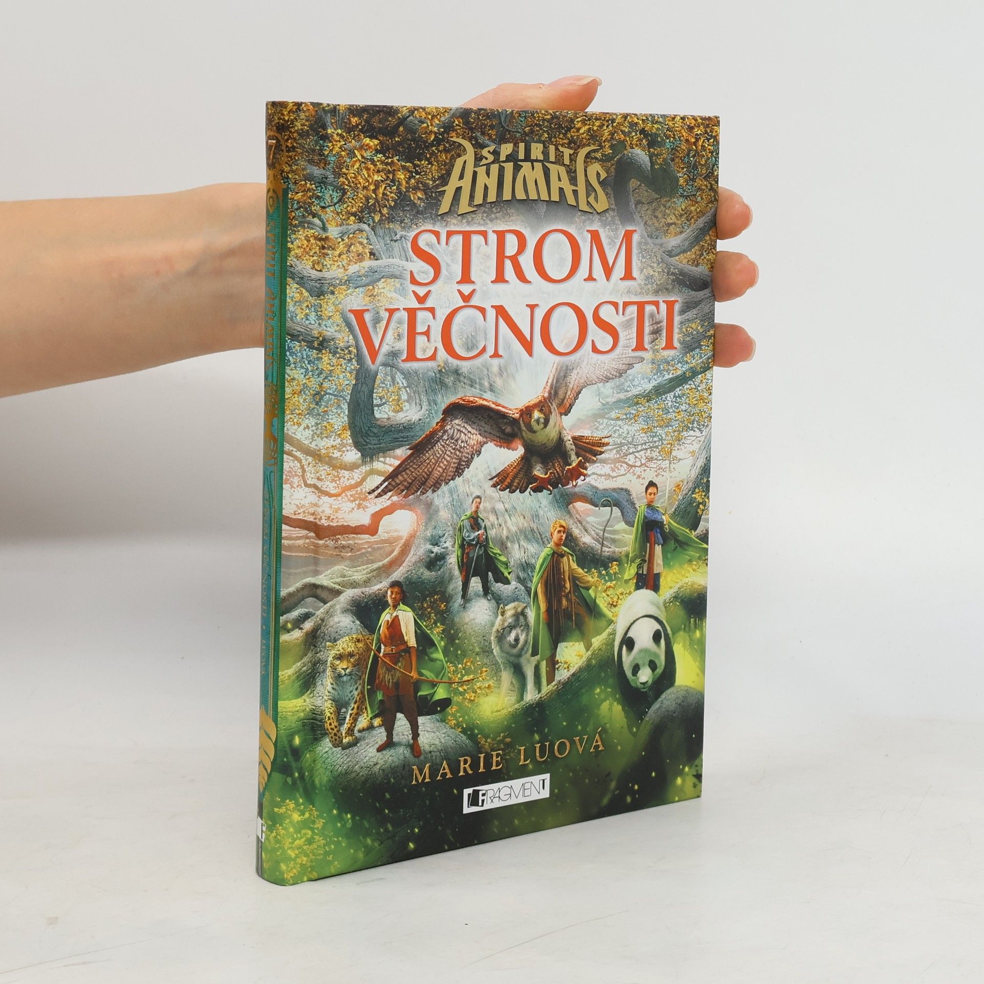 Marie Lu Strom věčnosti