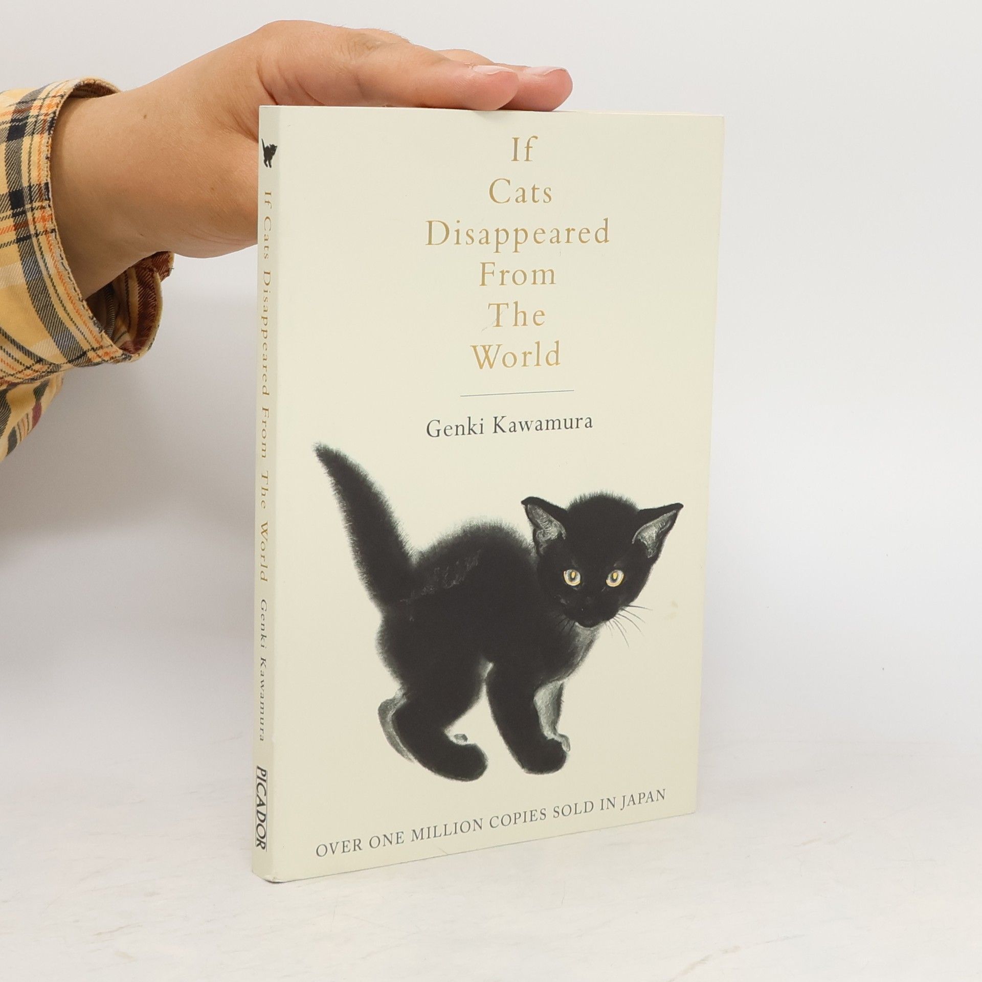 Genki Kawamura If Cats Disappeared from the World