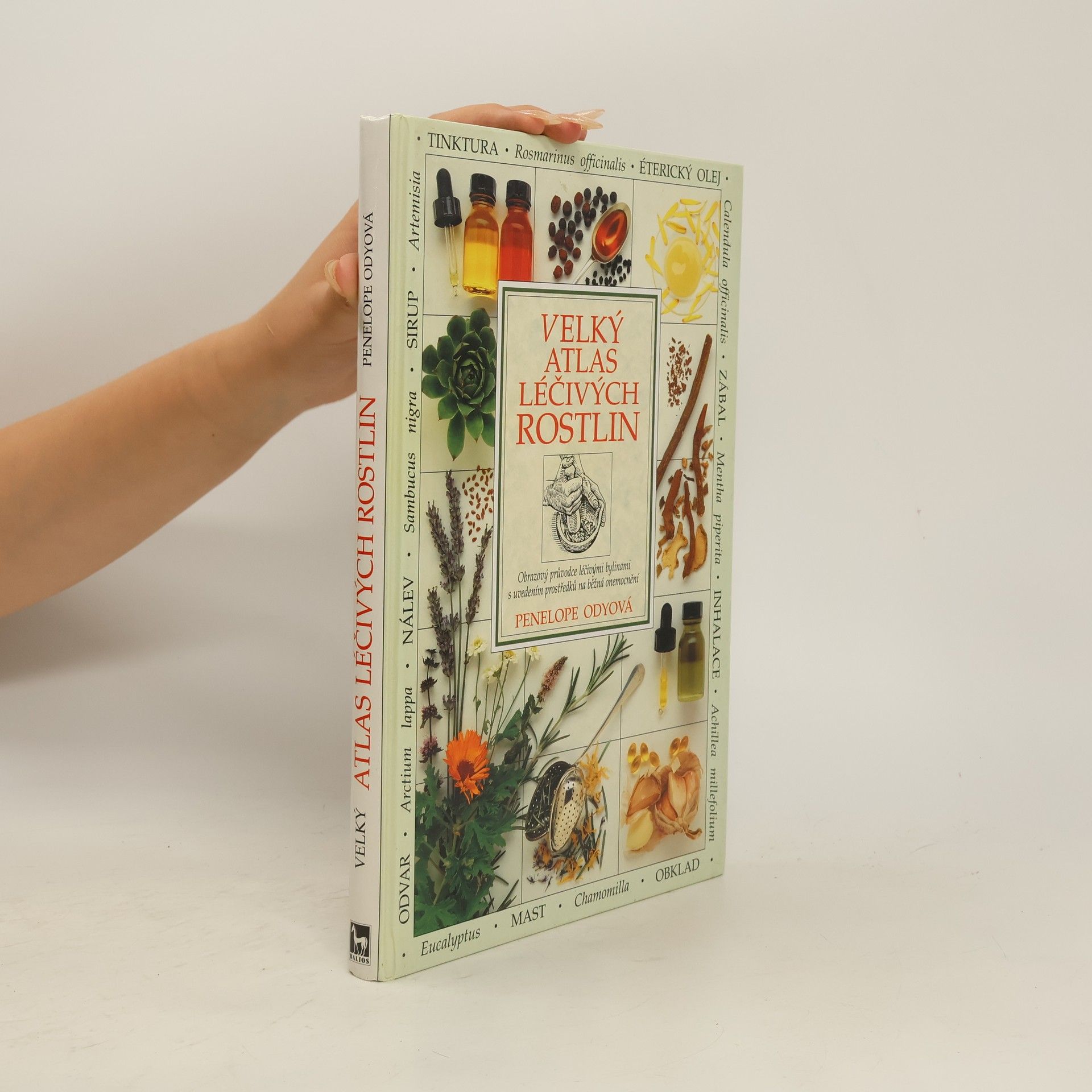 Penelope Ody Velký atlas léčivých rostlin