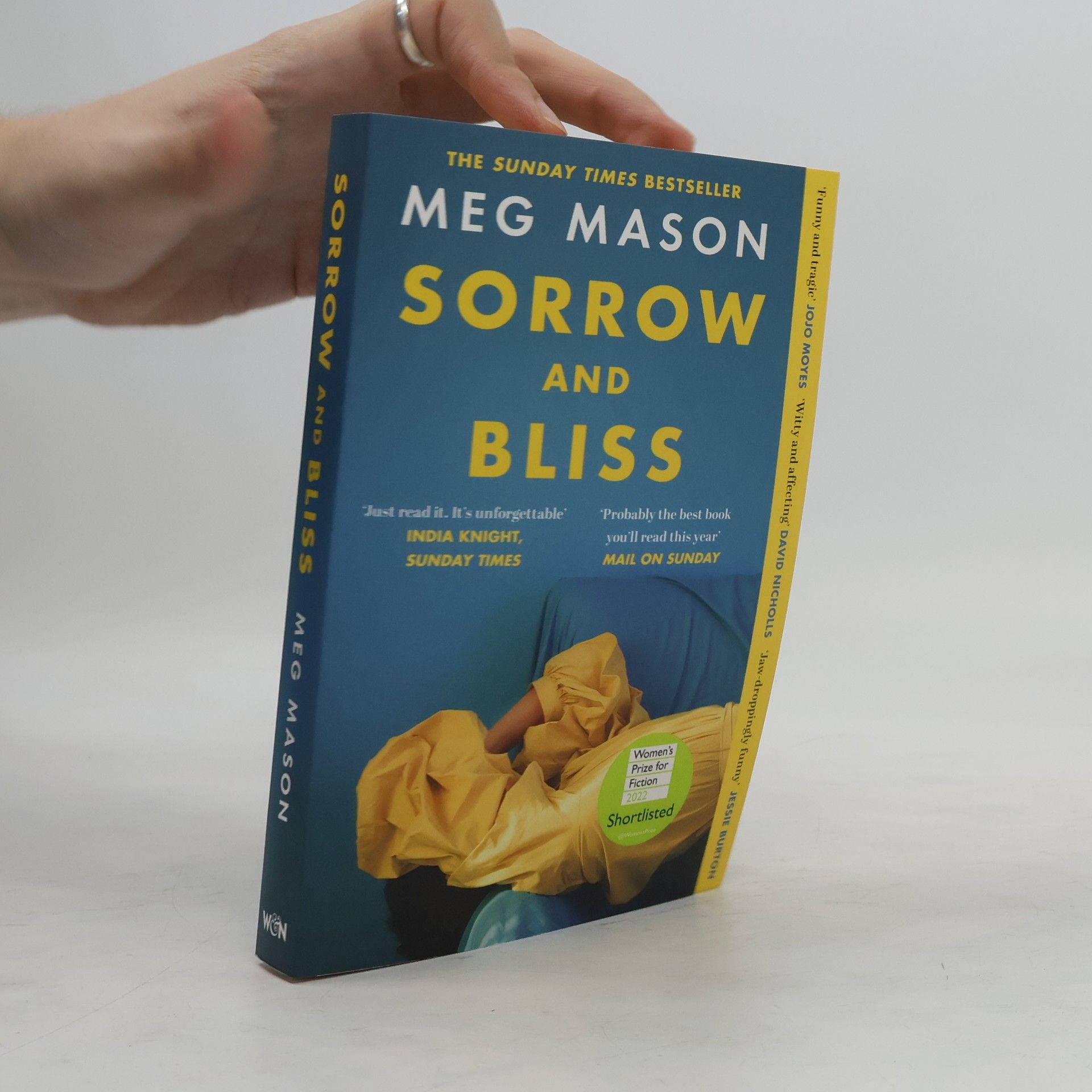 Meg Mason Sorrow and bliss