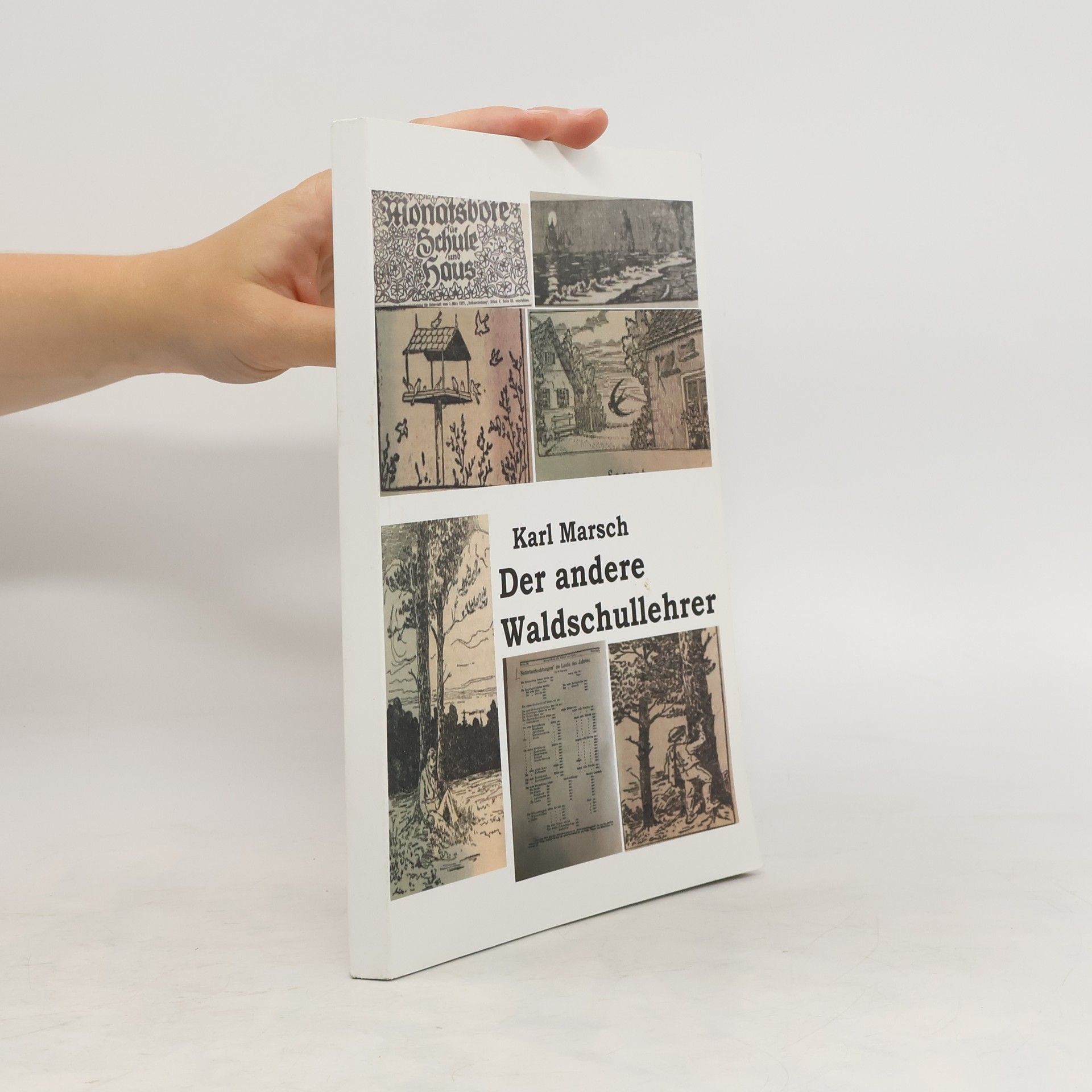 Karl Marsch Der andere Waldschullehrer