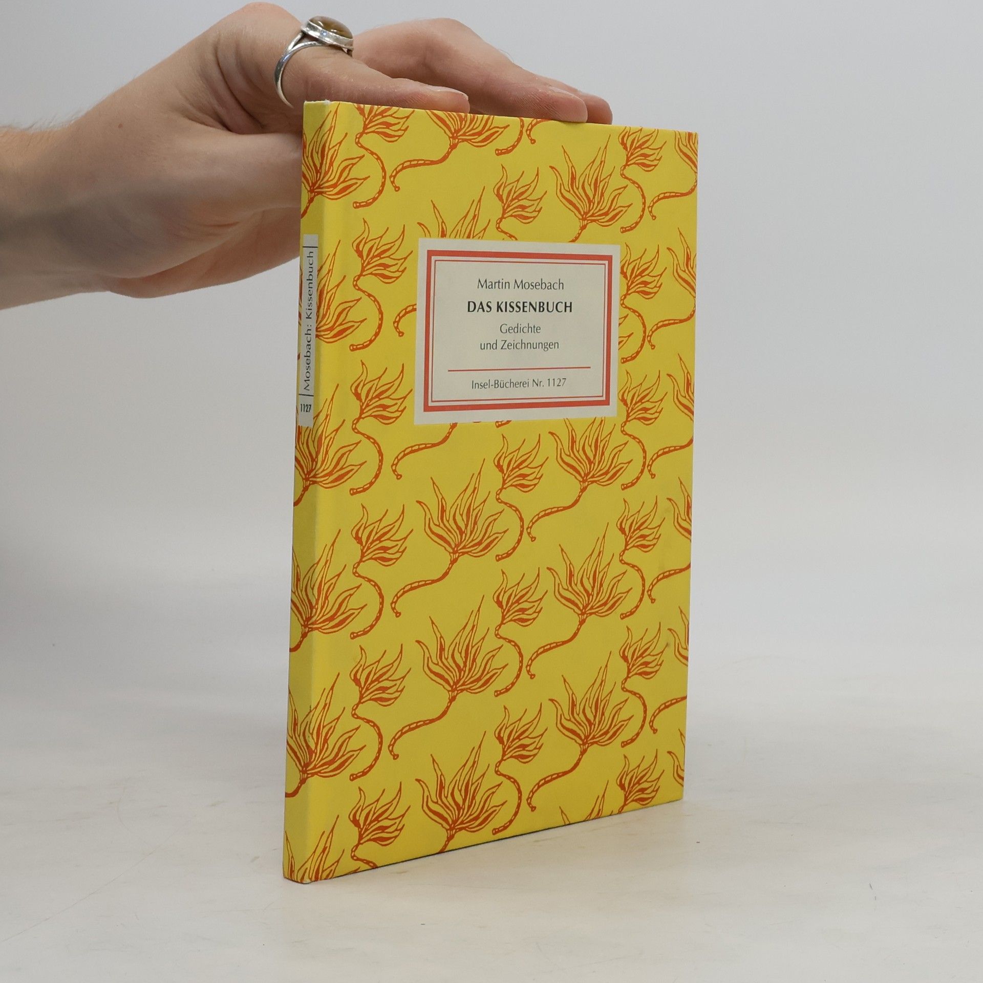 Martin Mosebach Das Kissenbuch