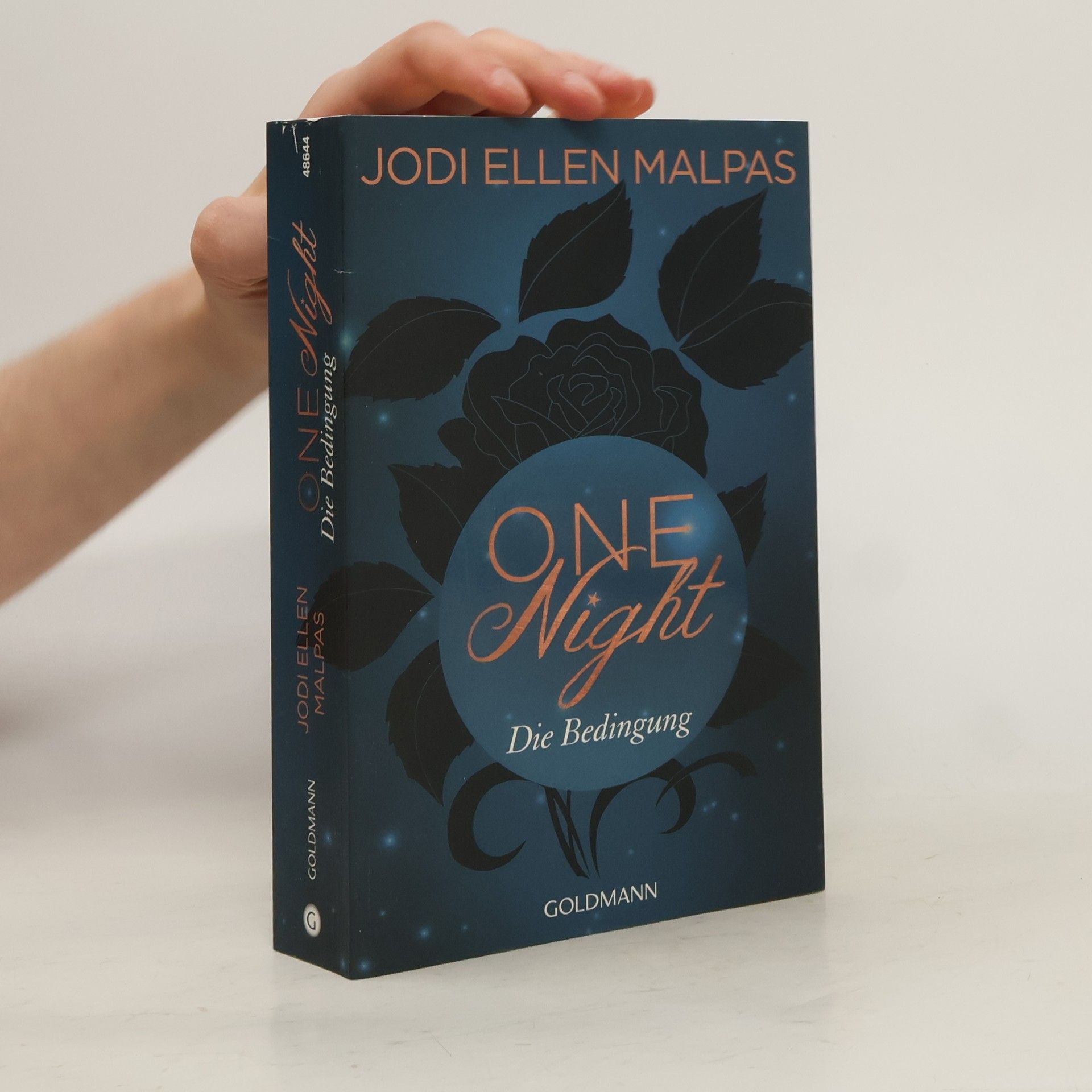 Nicole Hölsken One night - die Bedingung