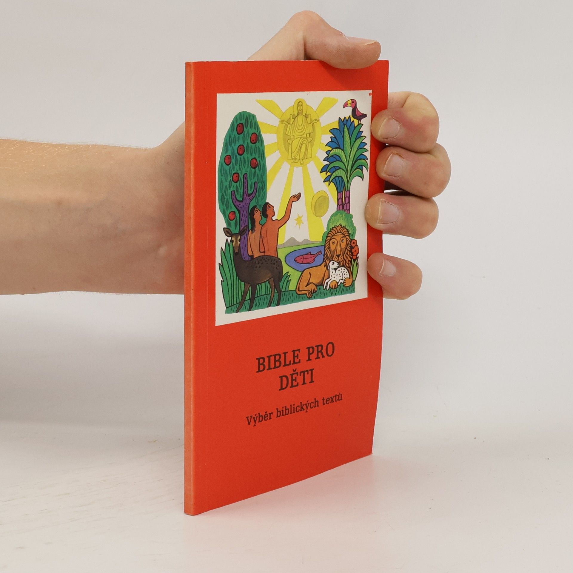 Kolektív autorov Bible pro děti. Výběr biblických textů