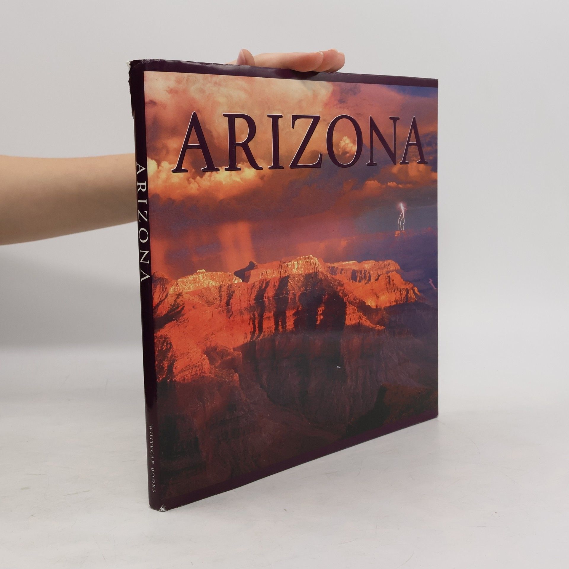 Collectif d'auteurs Arizona