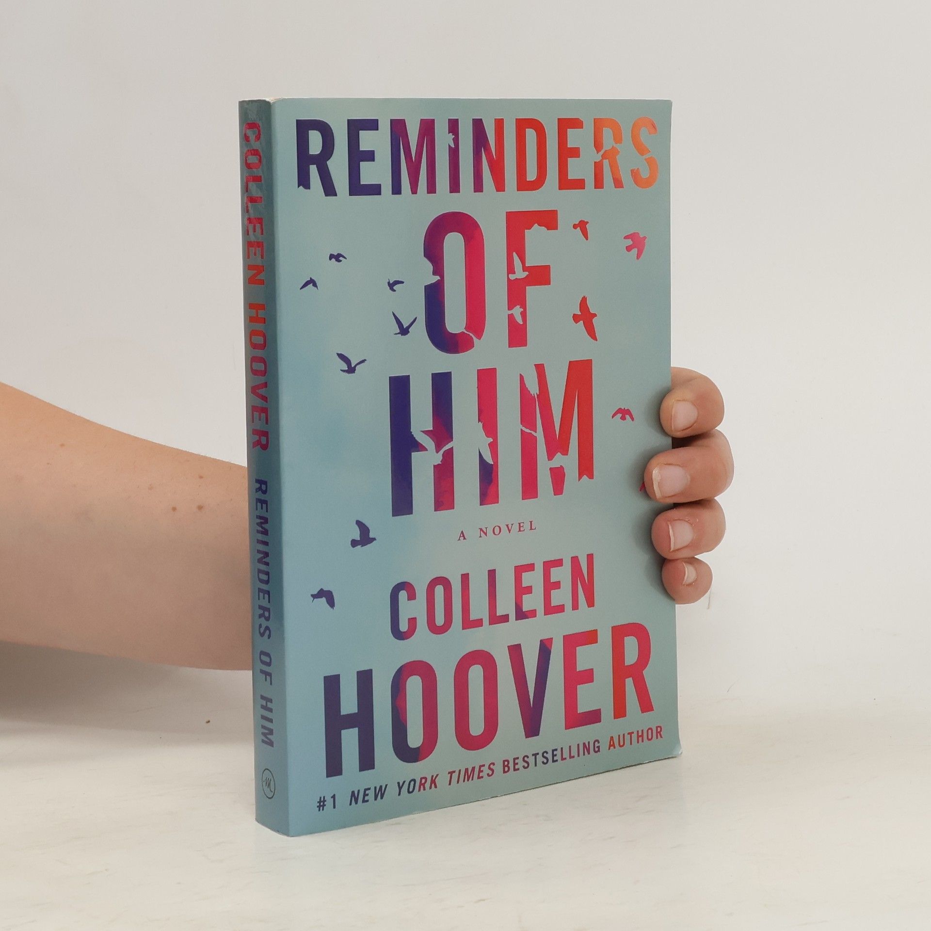 Colleen Hoover Reminders of him