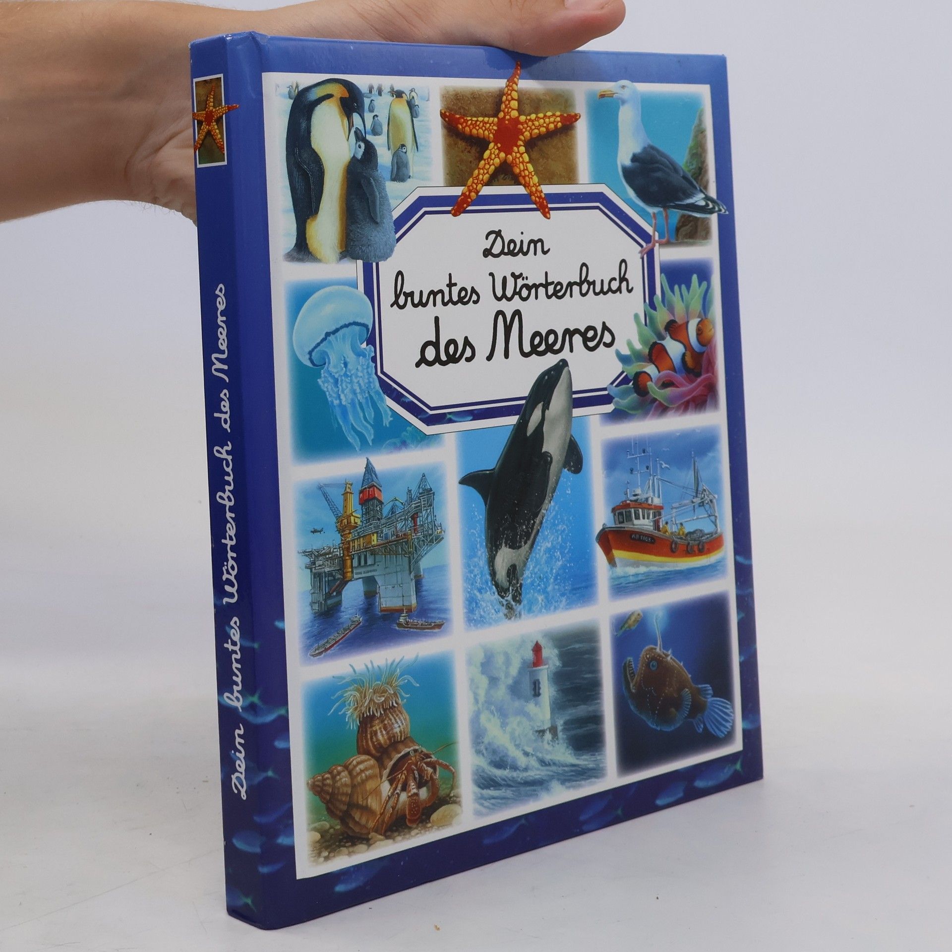 Hélène Grimault Dein buntes Wörterbuch des Meeres