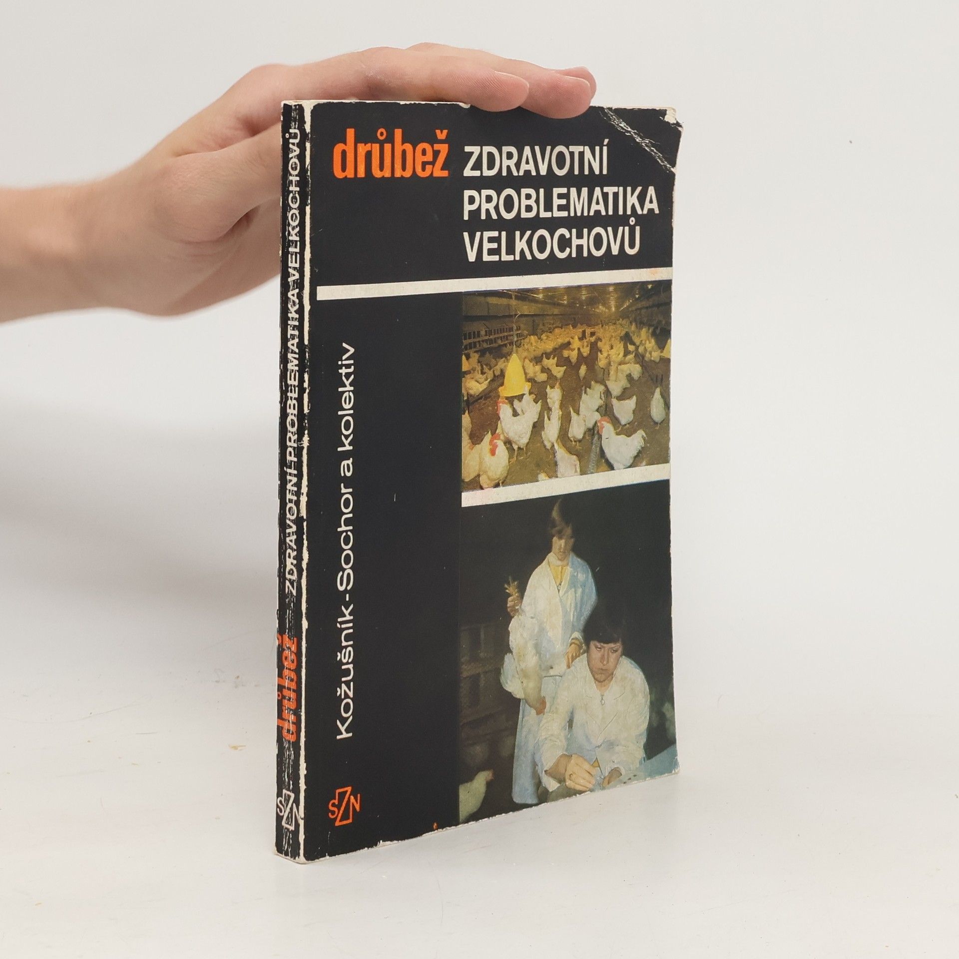 Autorenkollektiv Drůbež. Zdravotní problematika velkochovů