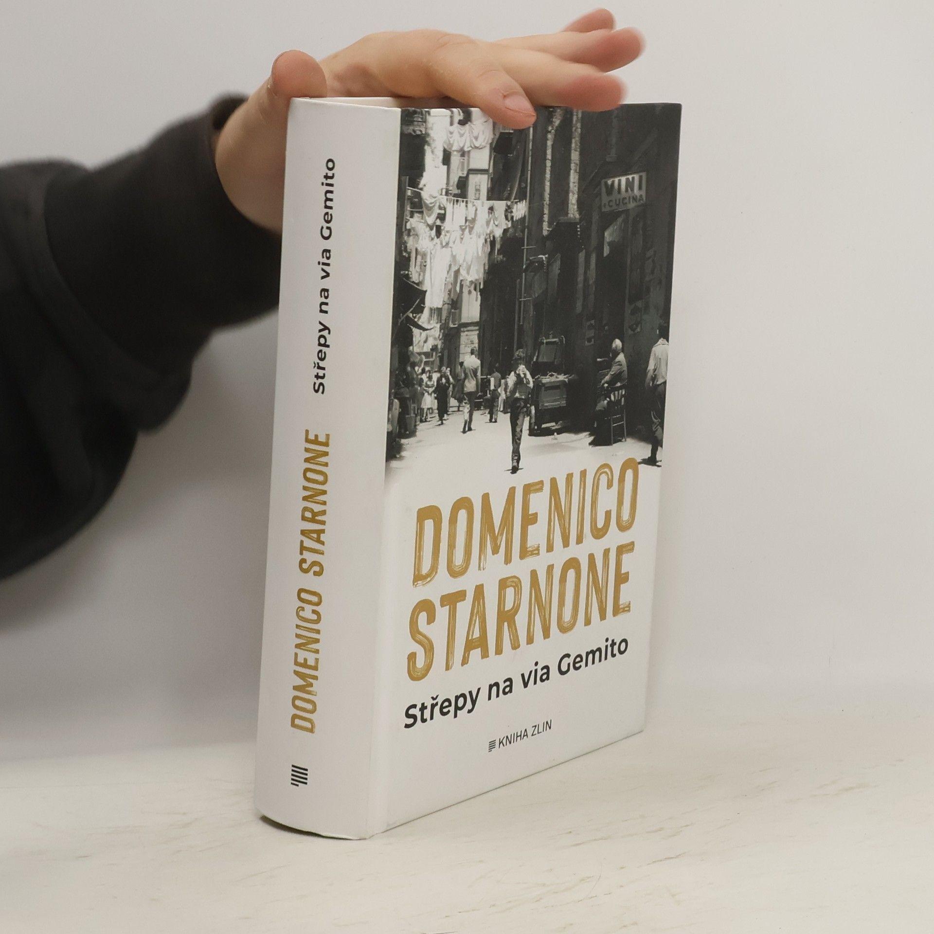 Domenico Starnone Střepy na via Gemito