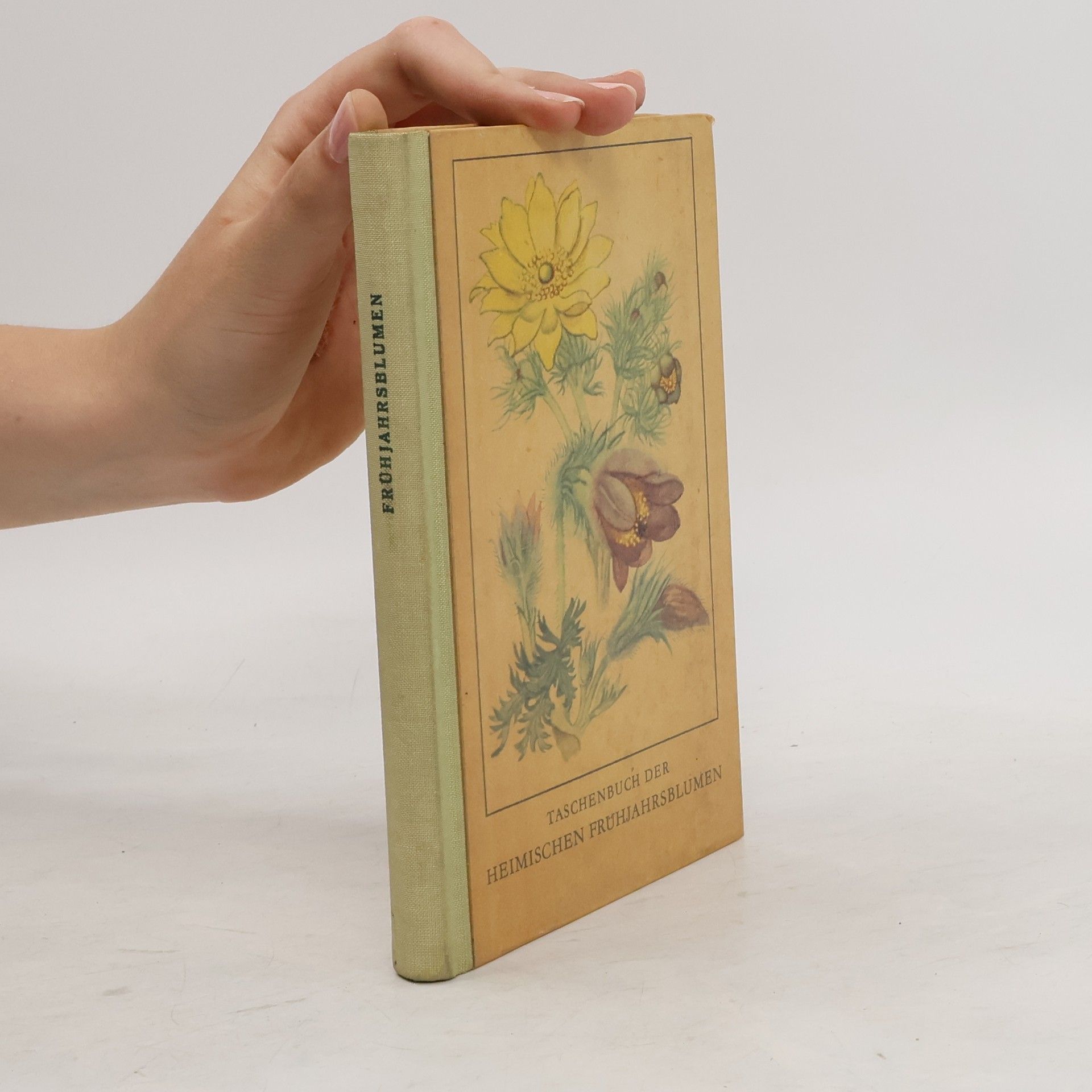Fritz Koch Tachenbuch der Heimischen Frühjahrsblumen