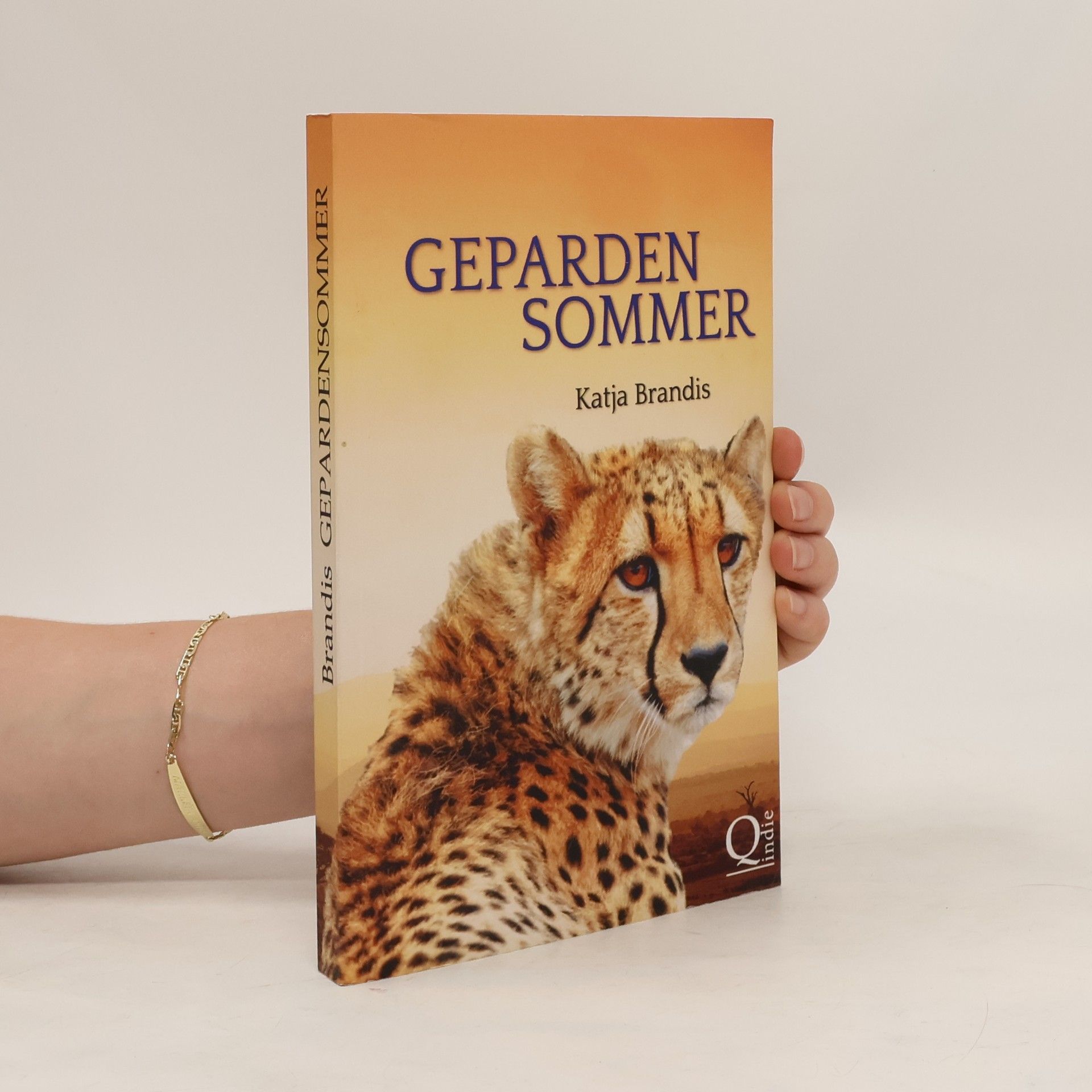 Katja Brandis Gepardensommer
