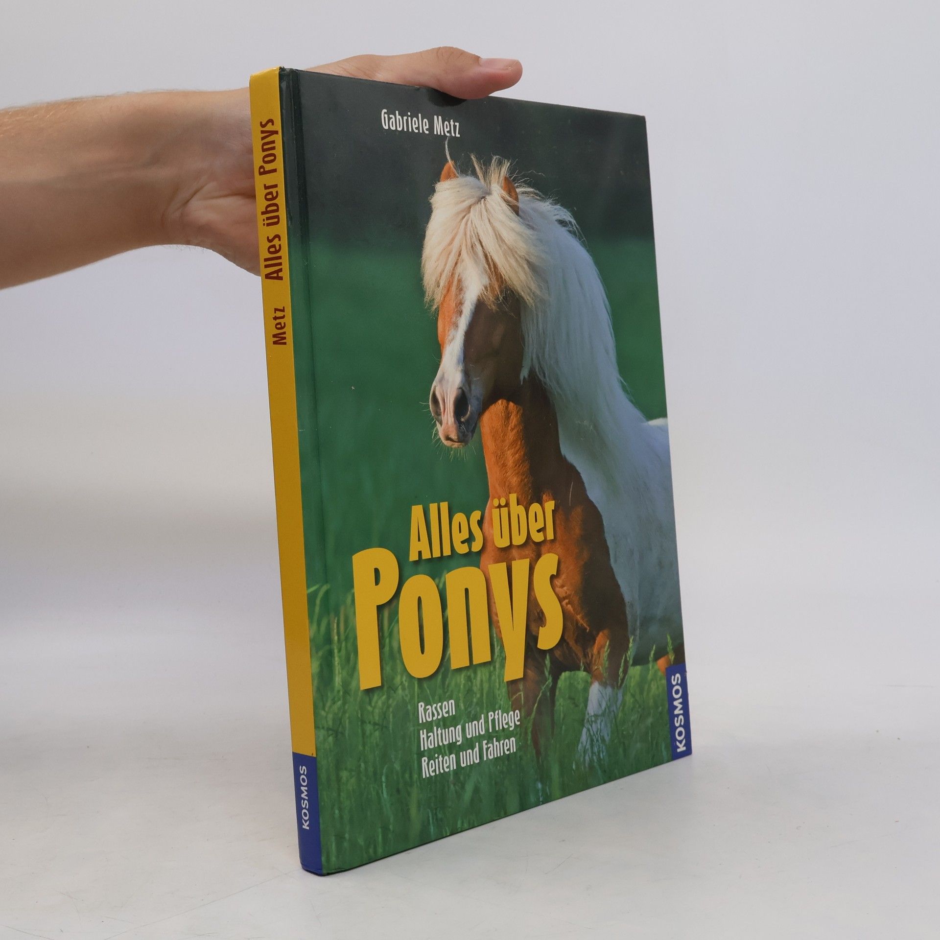Gabriele Metz Alles über Ponys
