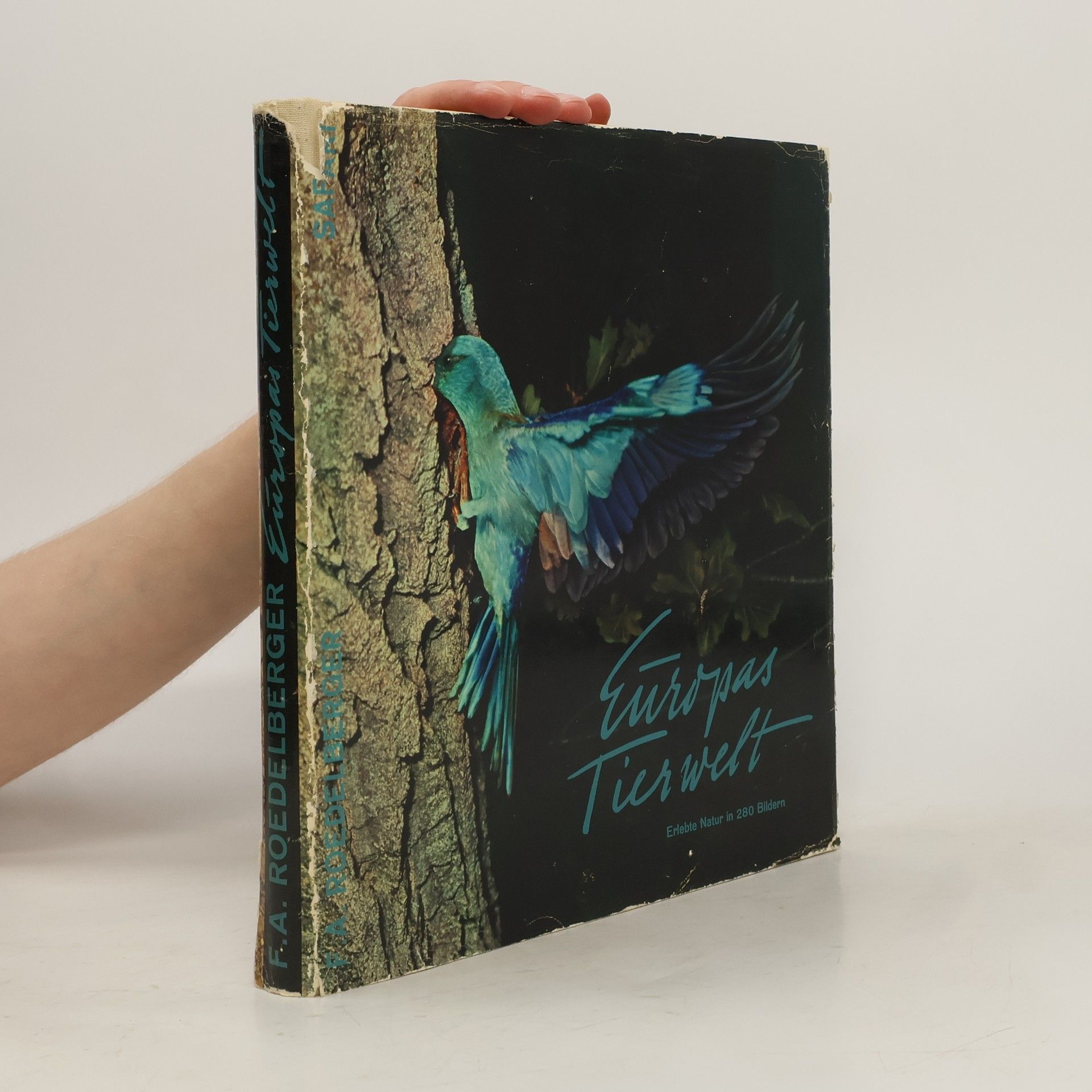 Franz A. Roedelberger Europas Tierwelt