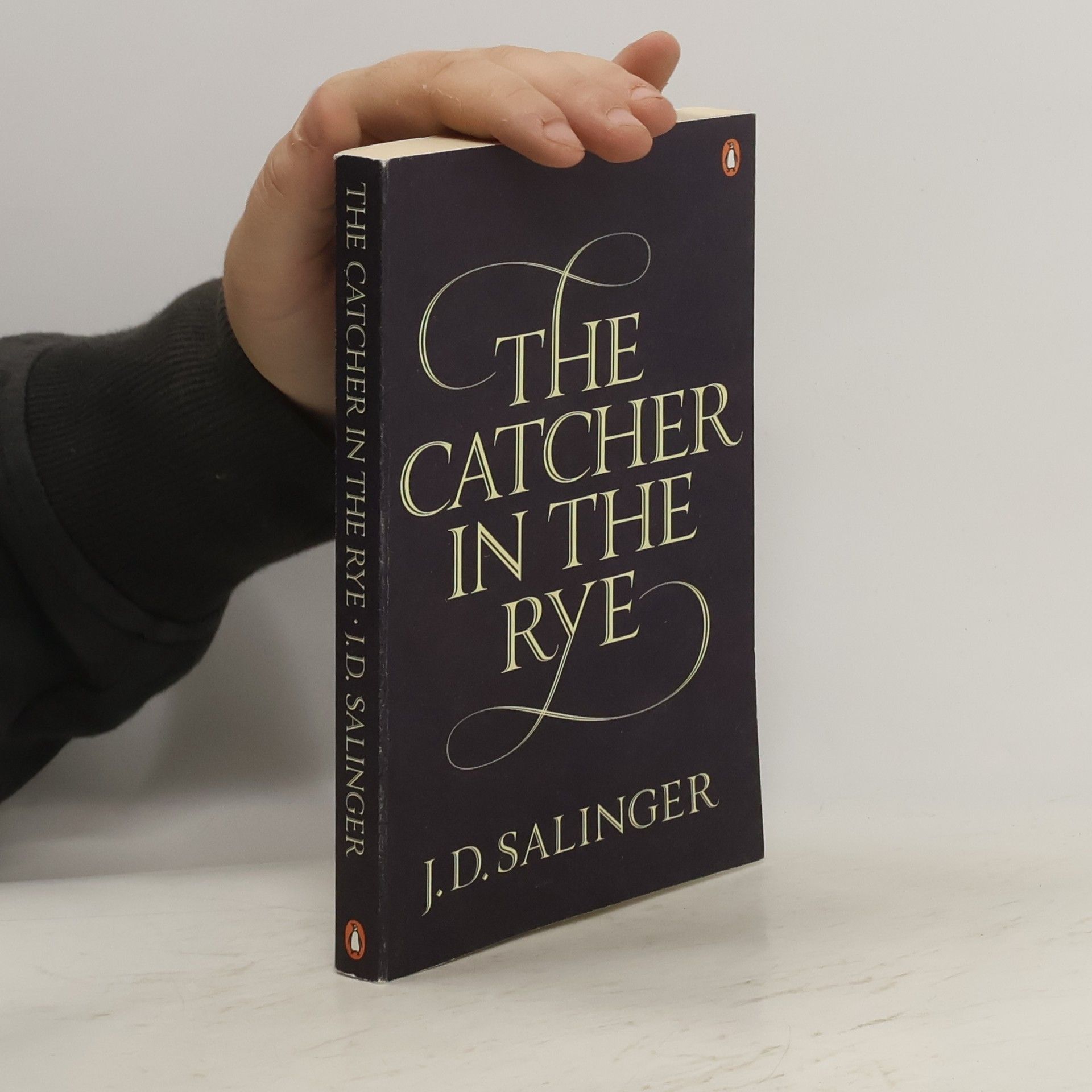 Jerome David Salinger The catcher in the rye. (Kdo chytá v žitě)