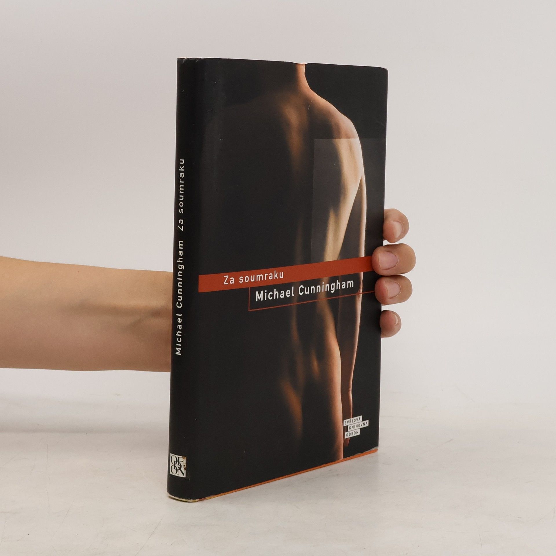 Michael Cunningham Za soumraku