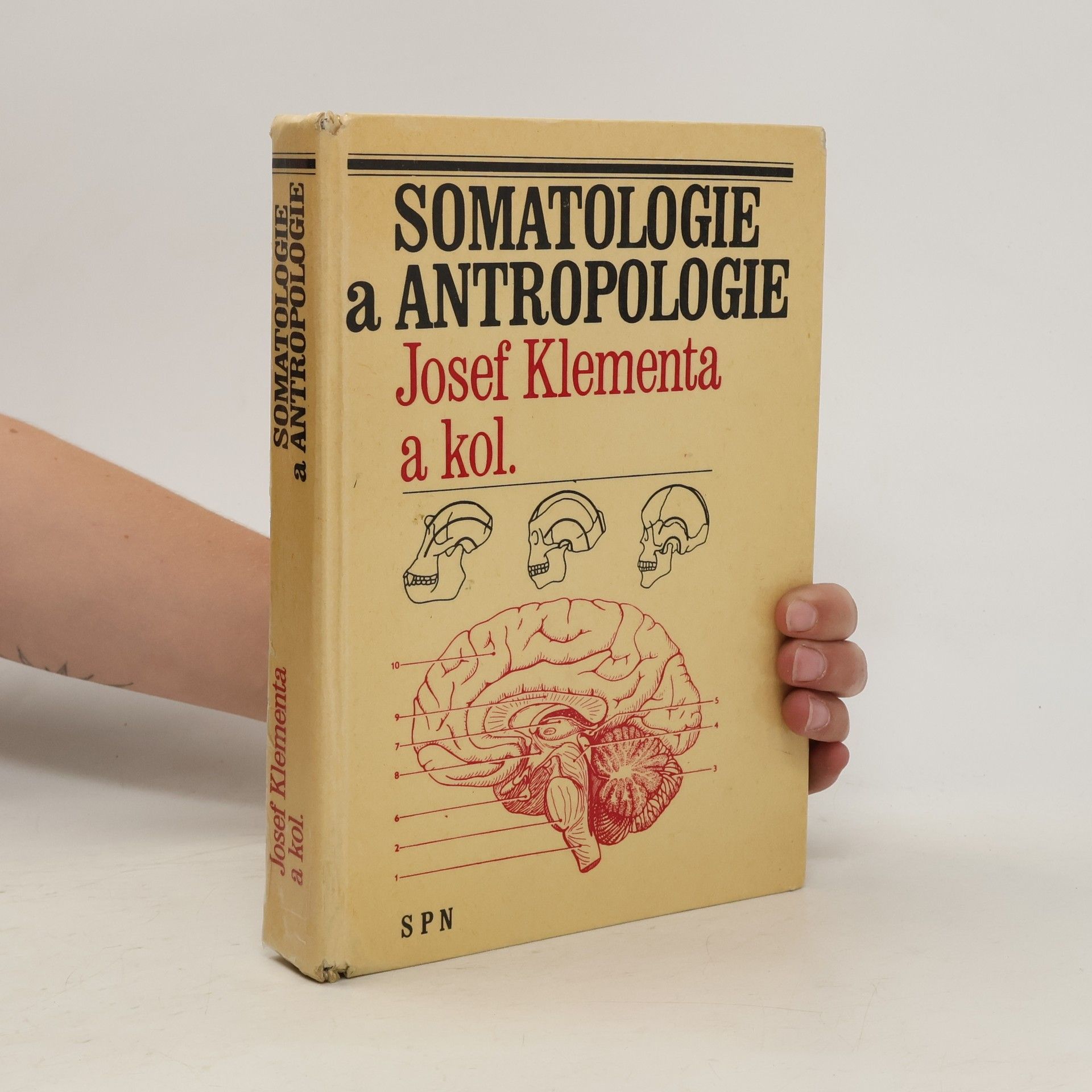 Josef Klementa Somatologie a antropologie