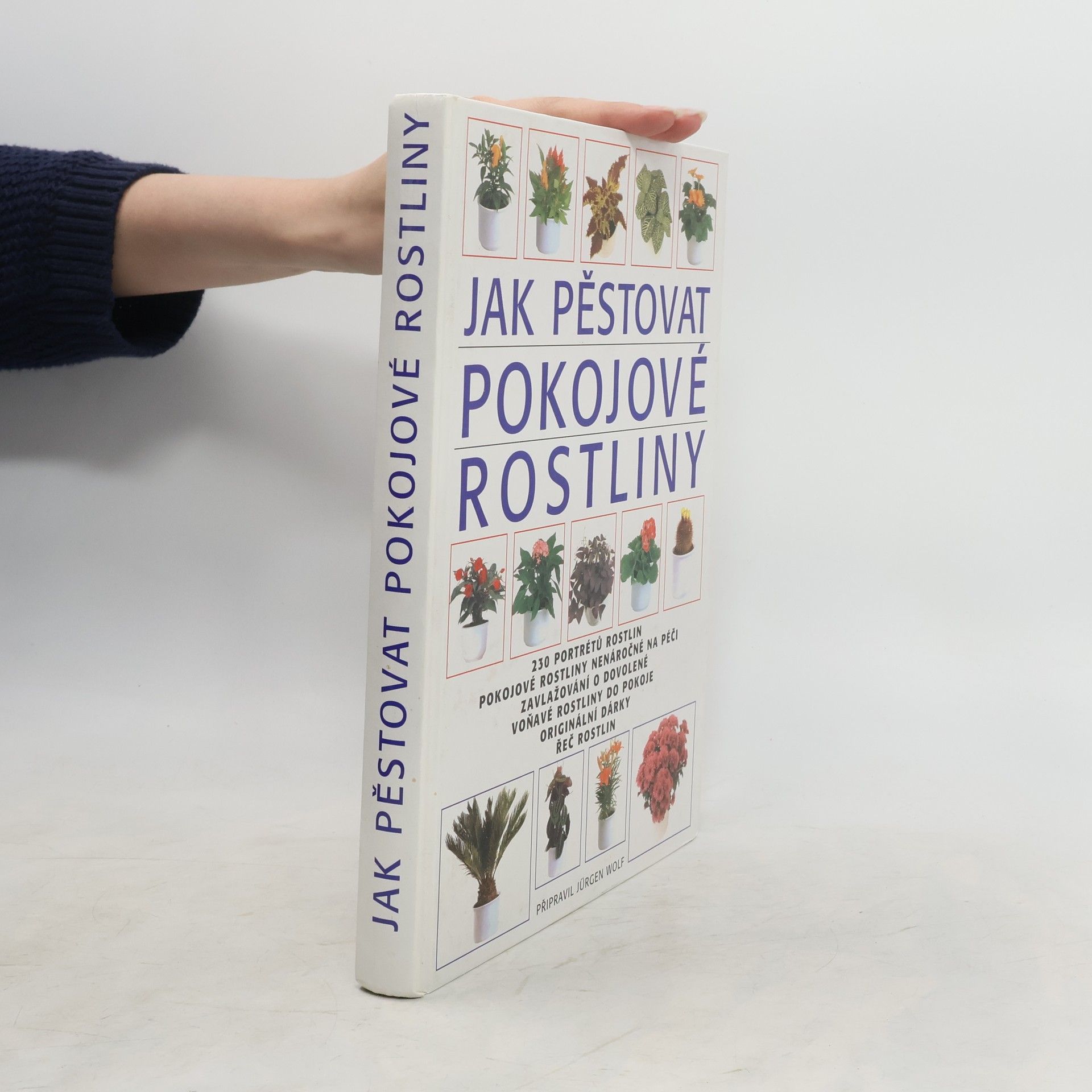 Jürgen Wolff Jak pěstovat pokojové rostliny