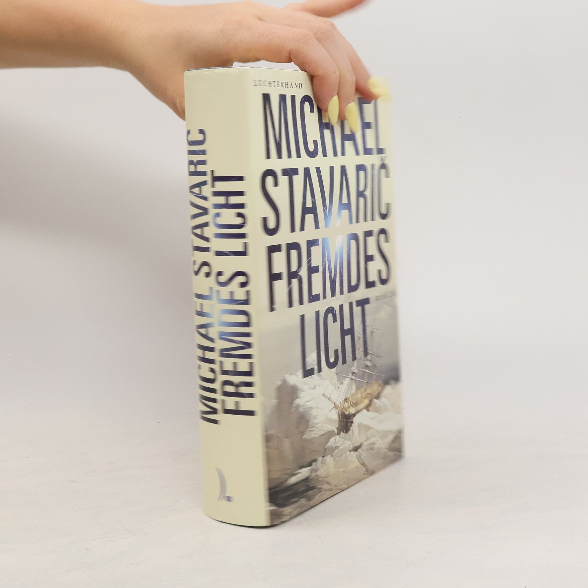 Michael Stavarič Fremdes Licht