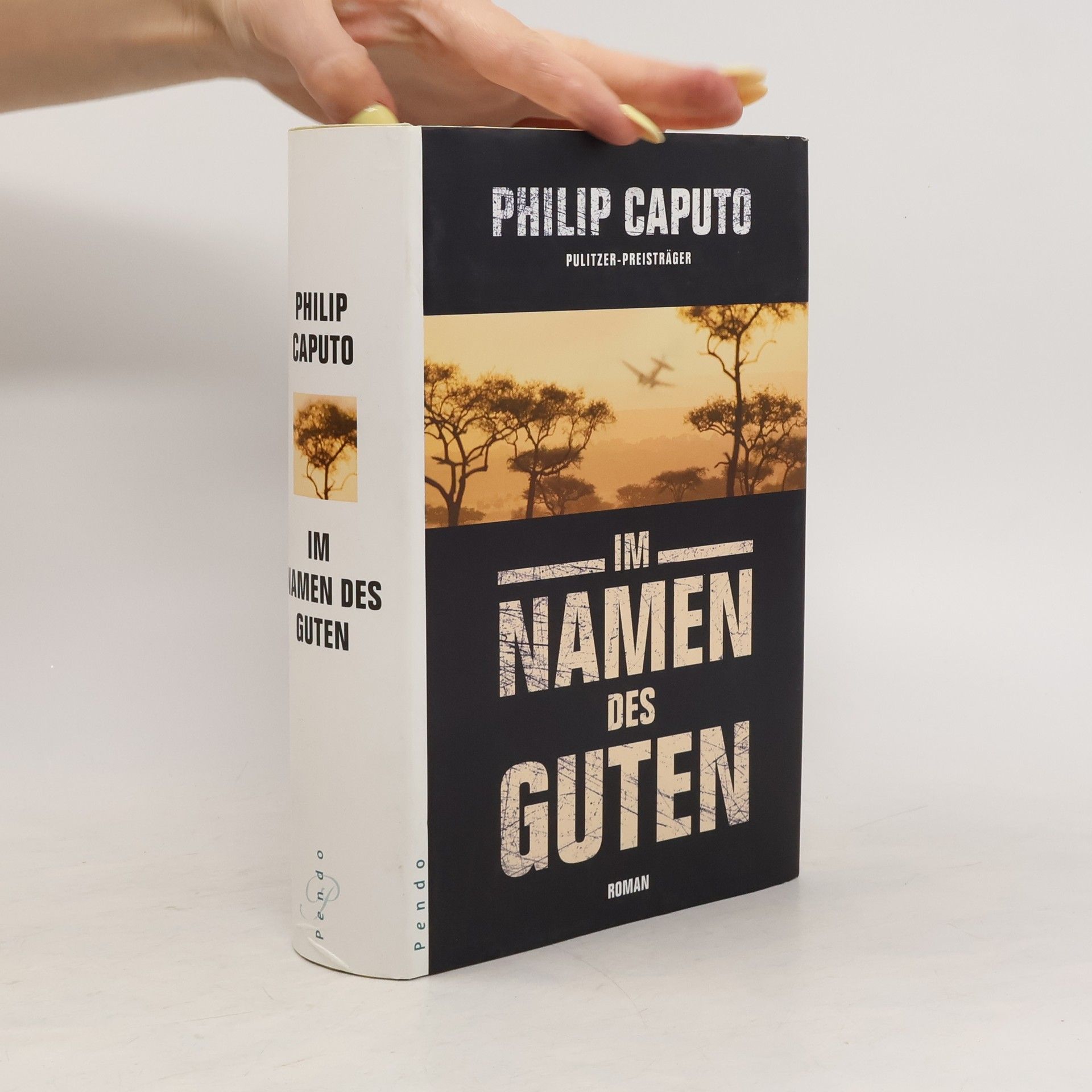 Philip Caputo Im Namen des Guten