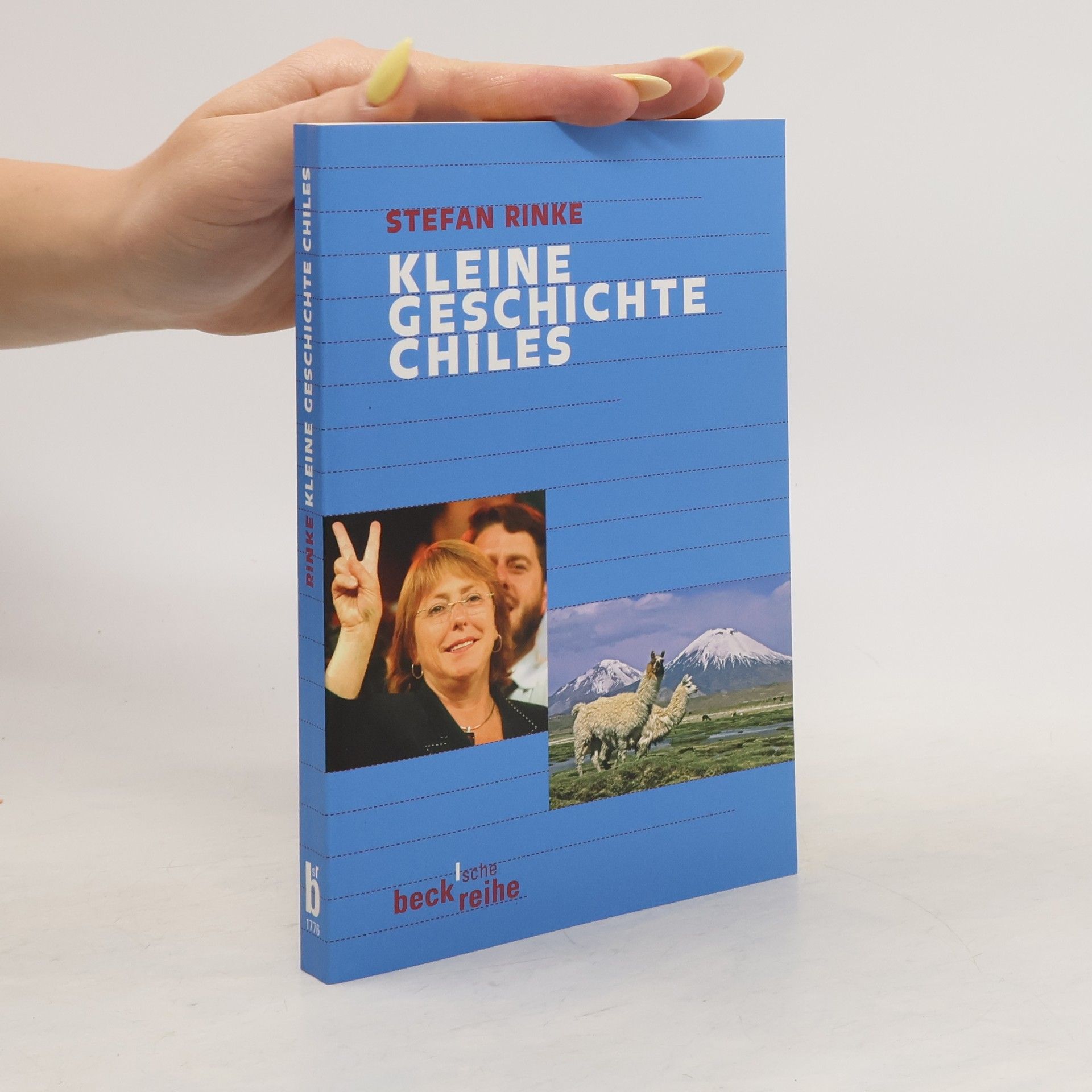Stefan Rinke Kleine Geschichte Chiles