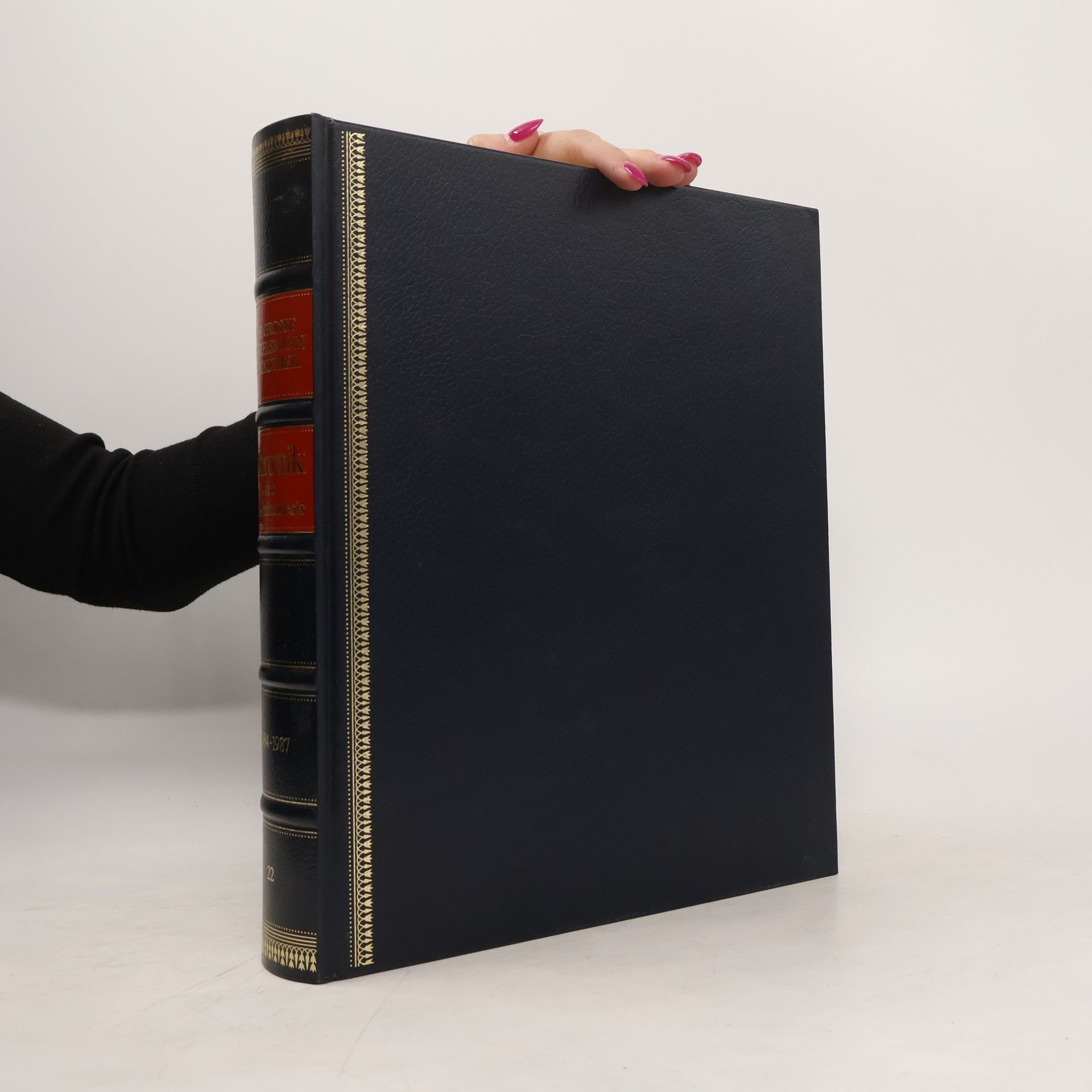 Antonia Meiners Chronik-Bibliothek des 20. Jahrhunderts 22. 1984-1987