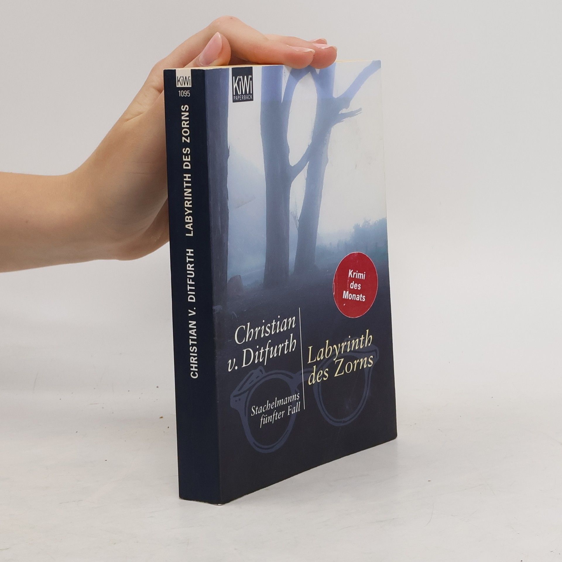 Christian v. Ditfurth Labyrinth des Zorns