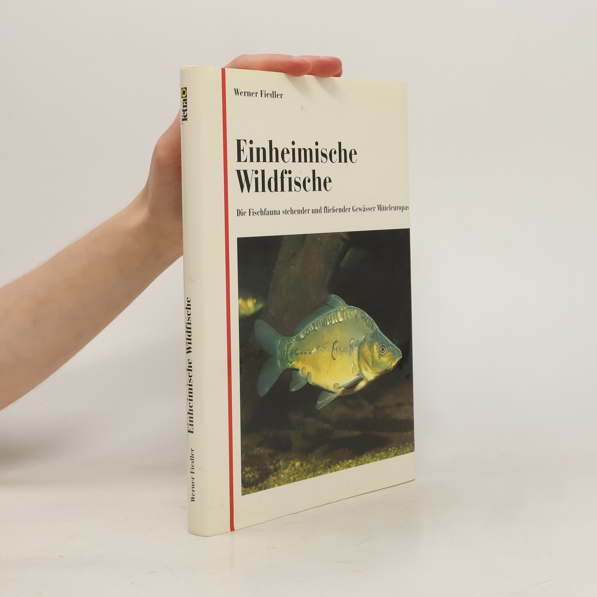 Werner Fiedler Einheimische Wildfische