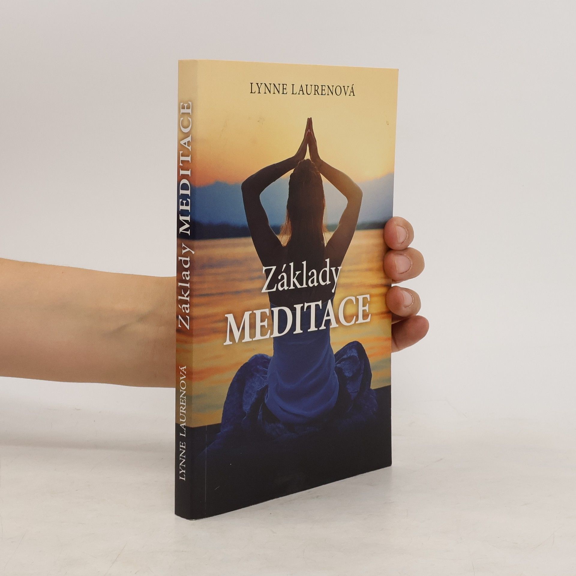 Lynne Lauren Základy meditace