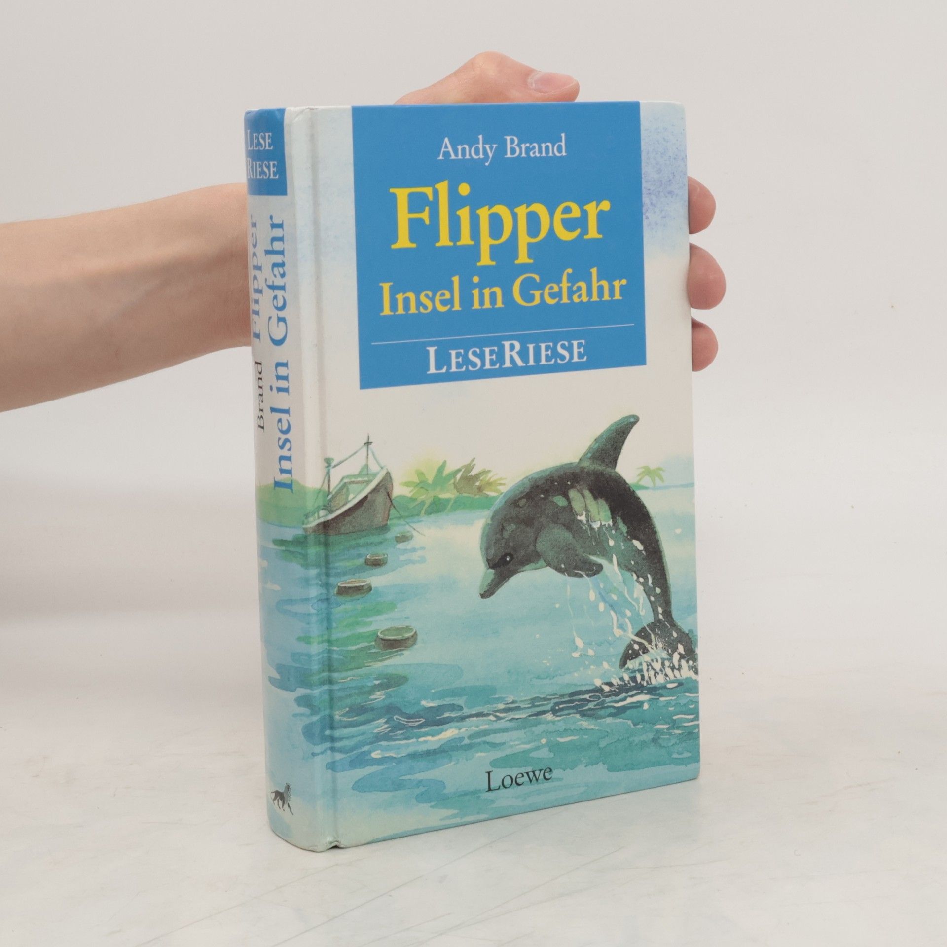 Andy Brand Flipper. Insel in Gefahr. LeseRiese.