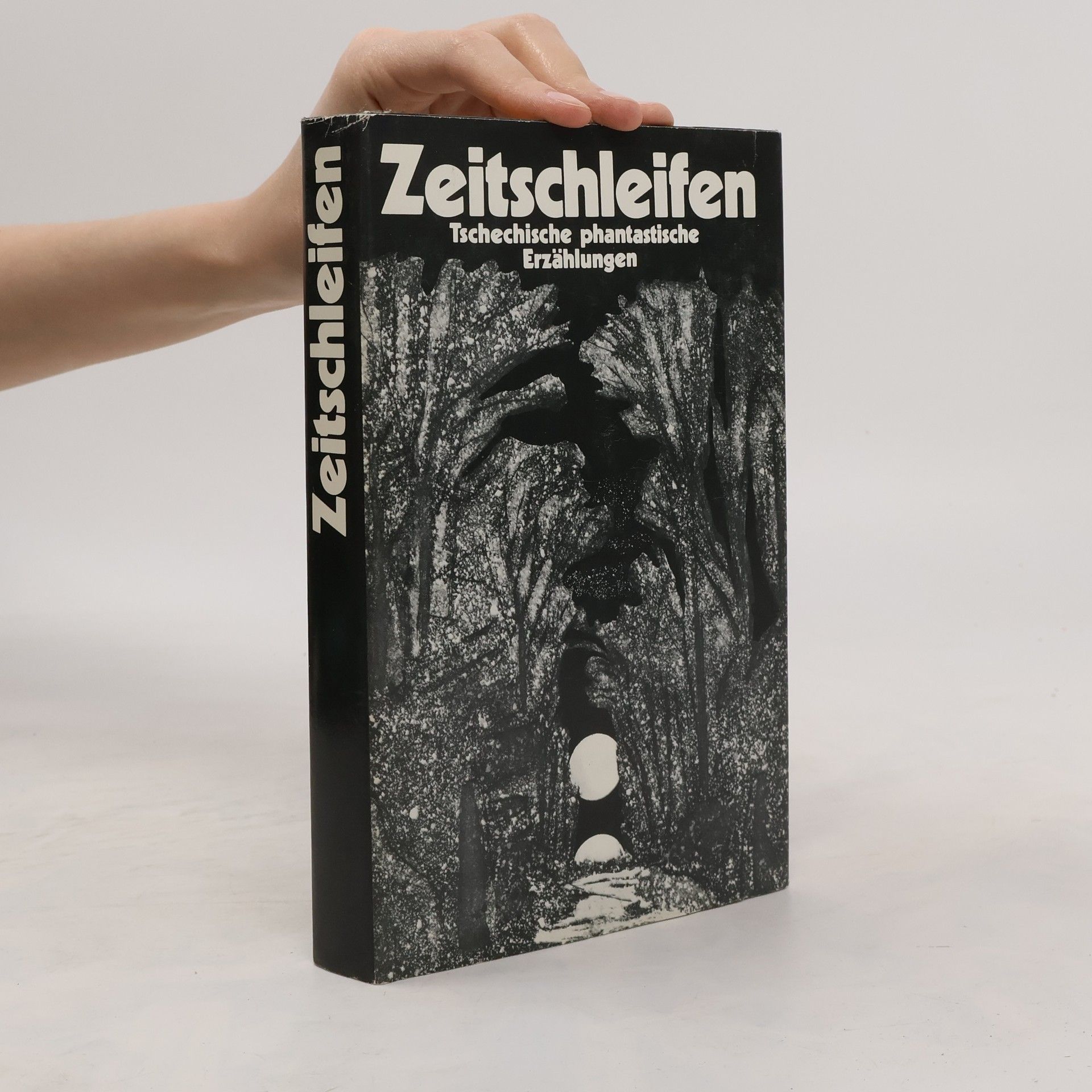 Autorenkollektiv Zeitschleifen Tschechische phantastische Erzählungen