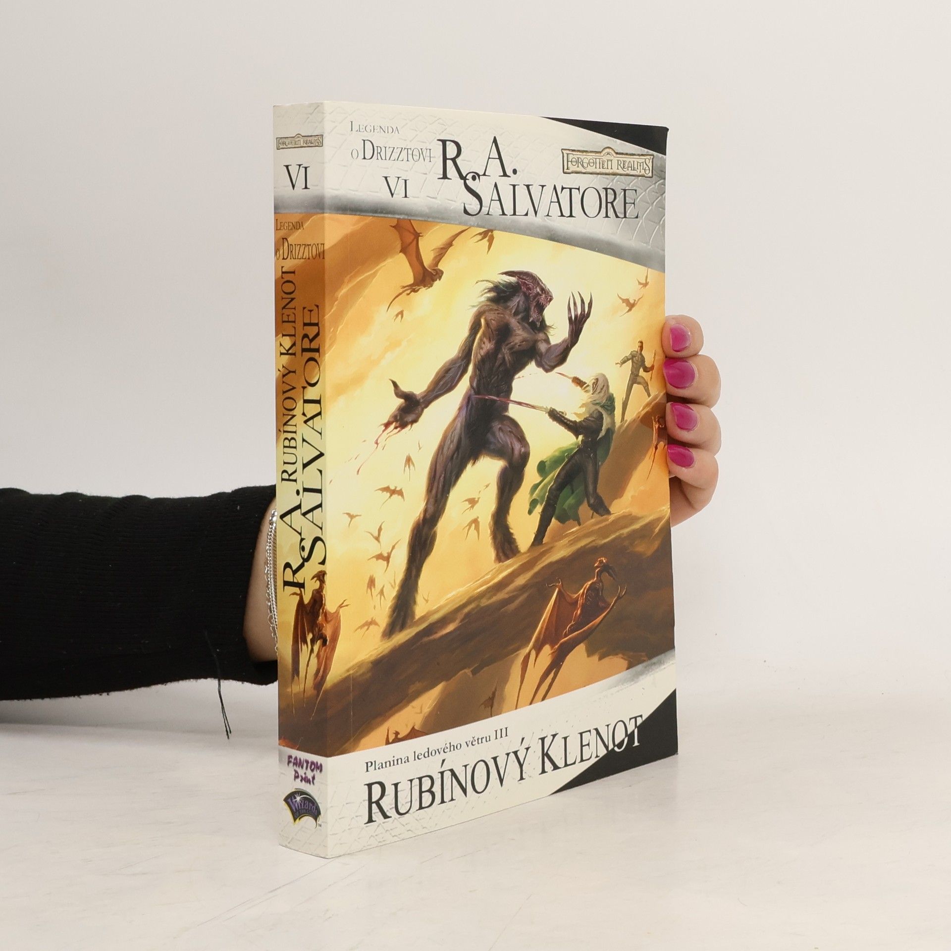 R. A. Salvatore Planina ledového větru. III, Rubínový klenot