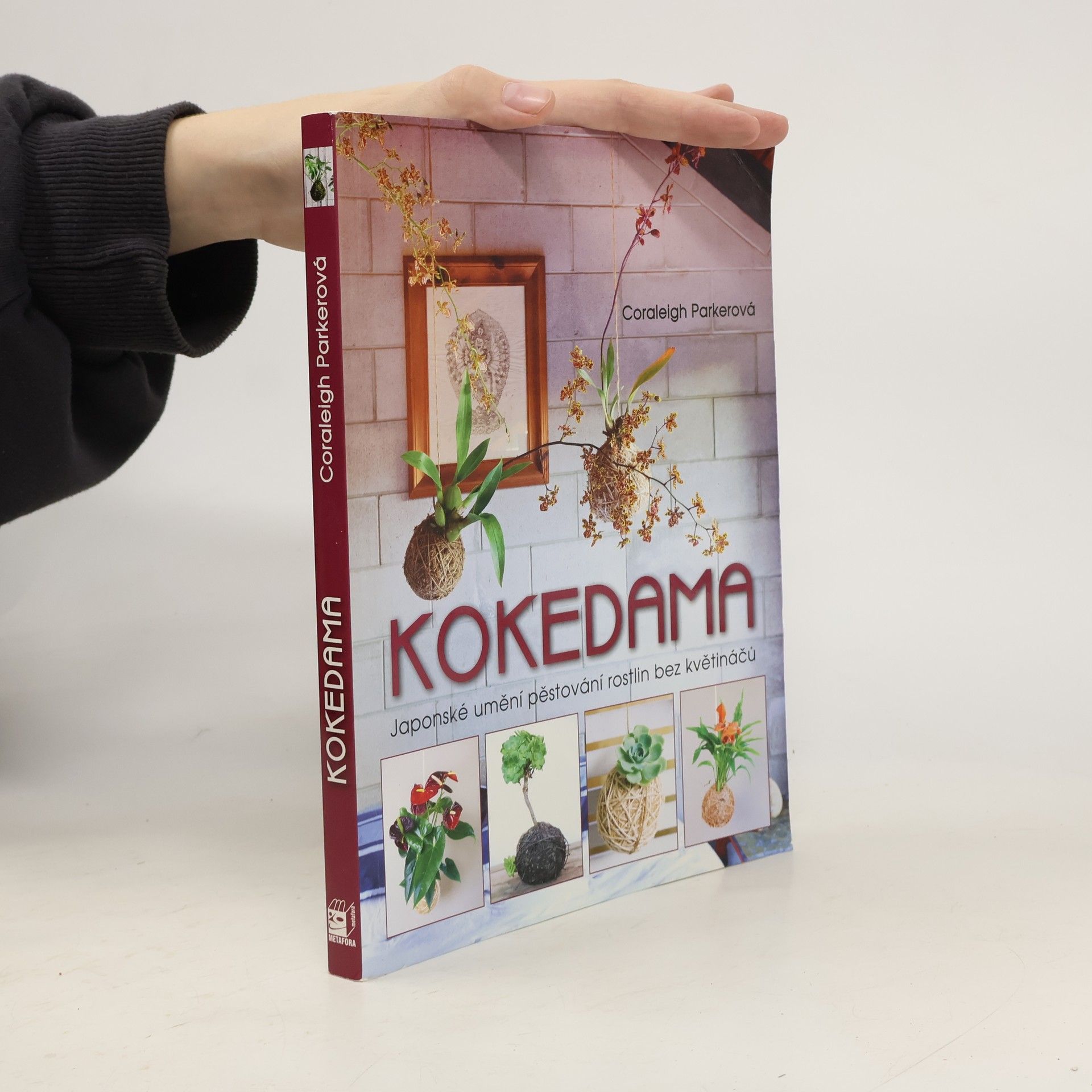 Coraleigh Parker Kokedama - Japonské umění pěstování rostlin bez květináčů