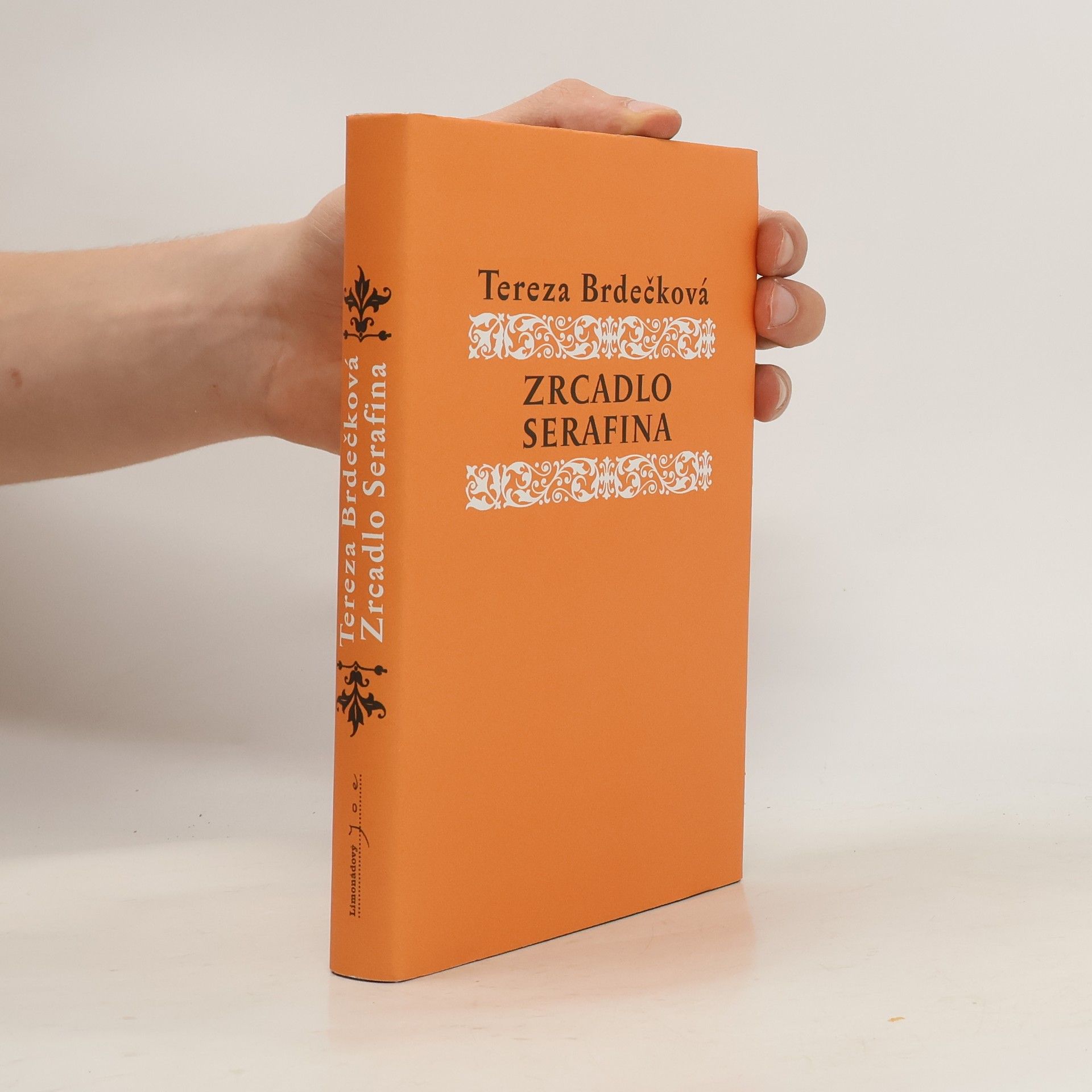 Tereza Brdečková Zrcadlo Serafina
