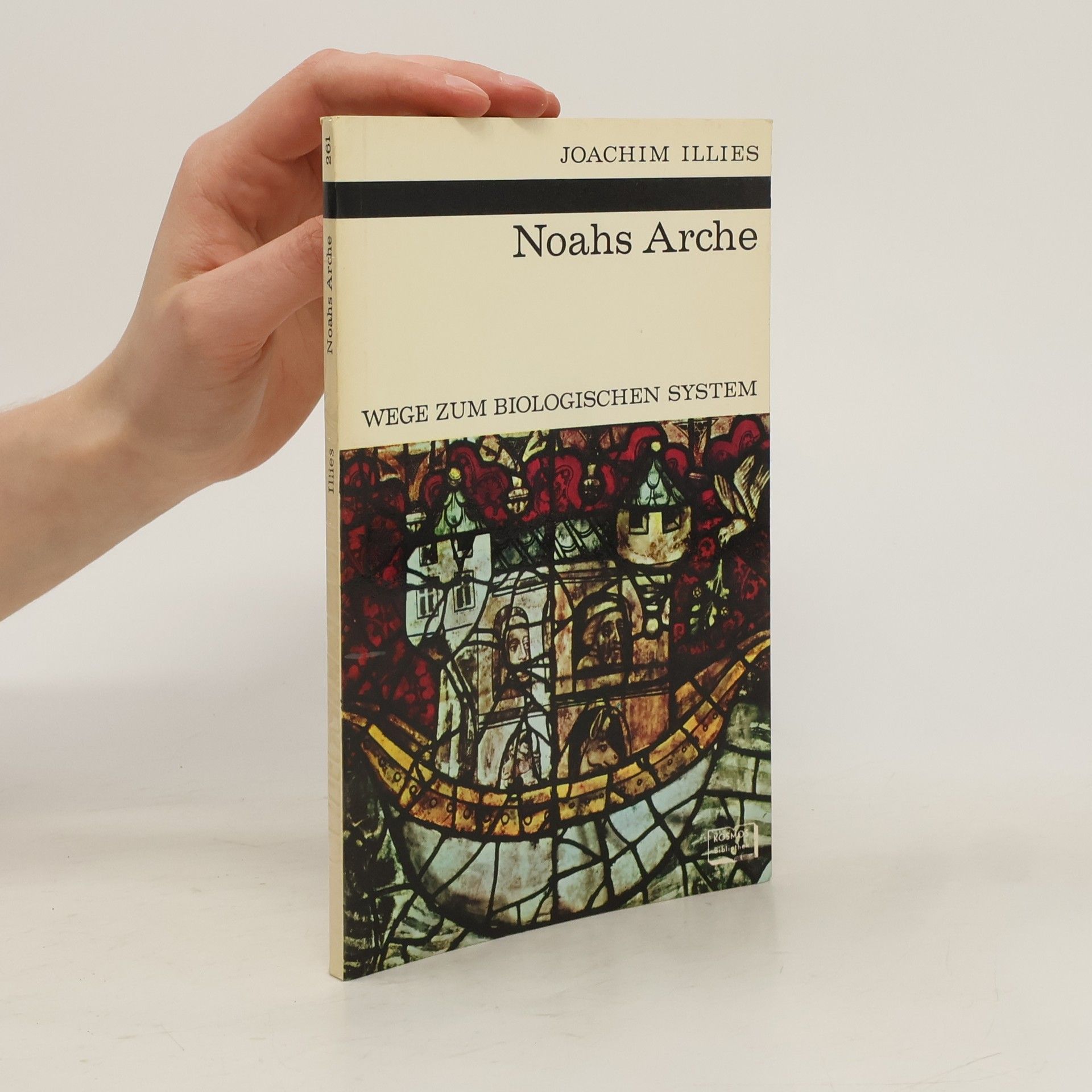 Joachim Illies Noahs Arche