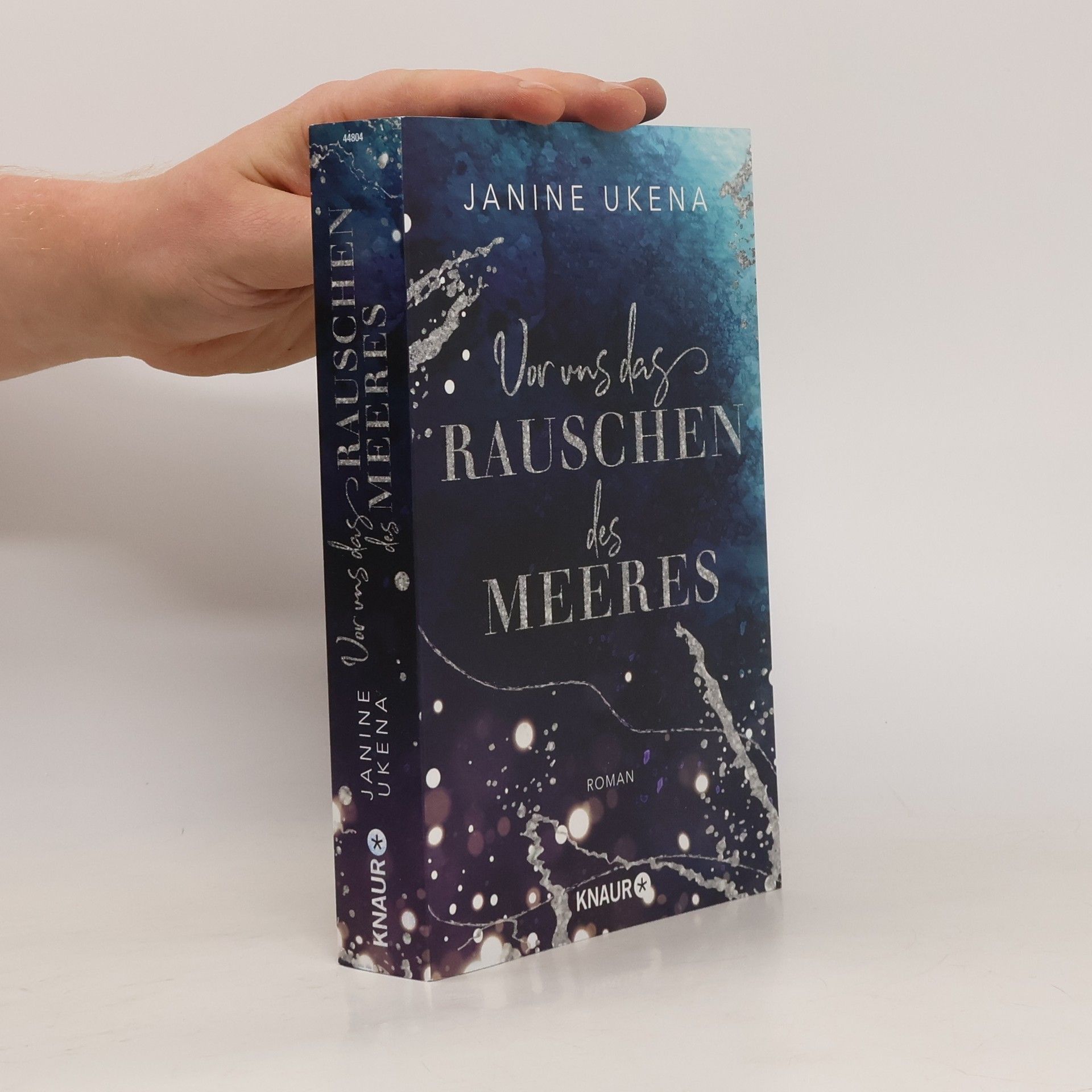 Janine Ukena Vor uns das Rauschen des Meeres