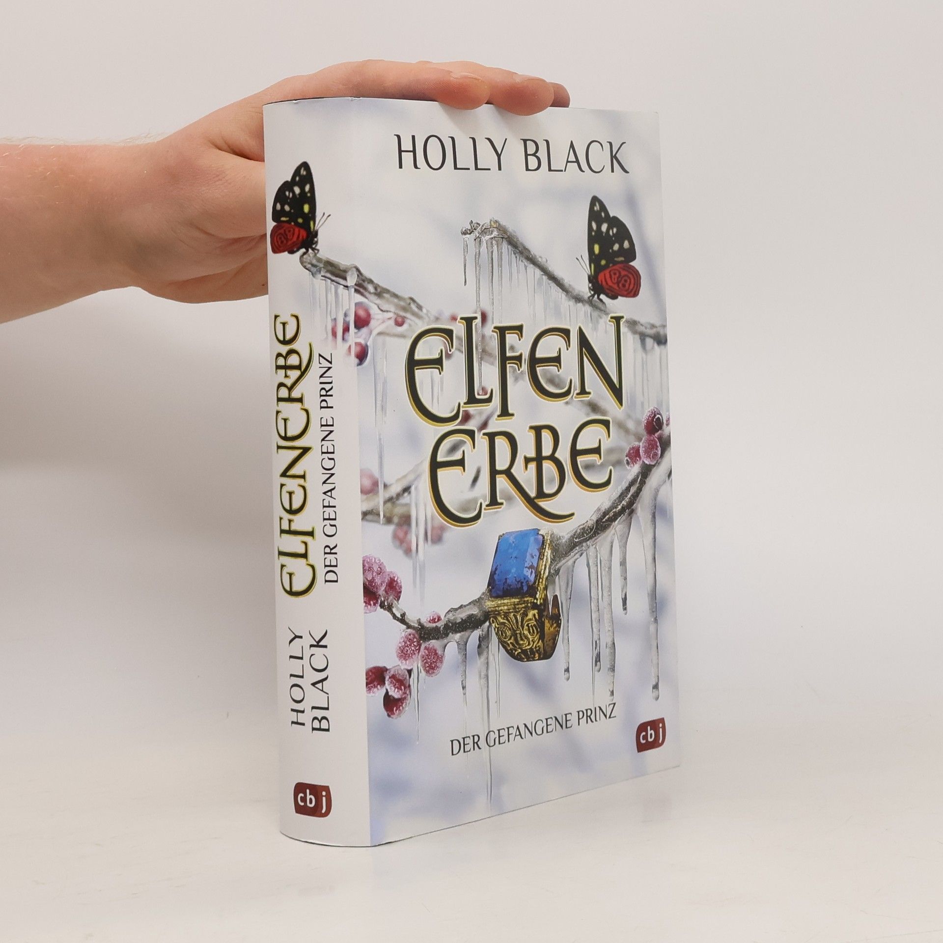 Holly Black Elfenerbe - der gefangene Prinz