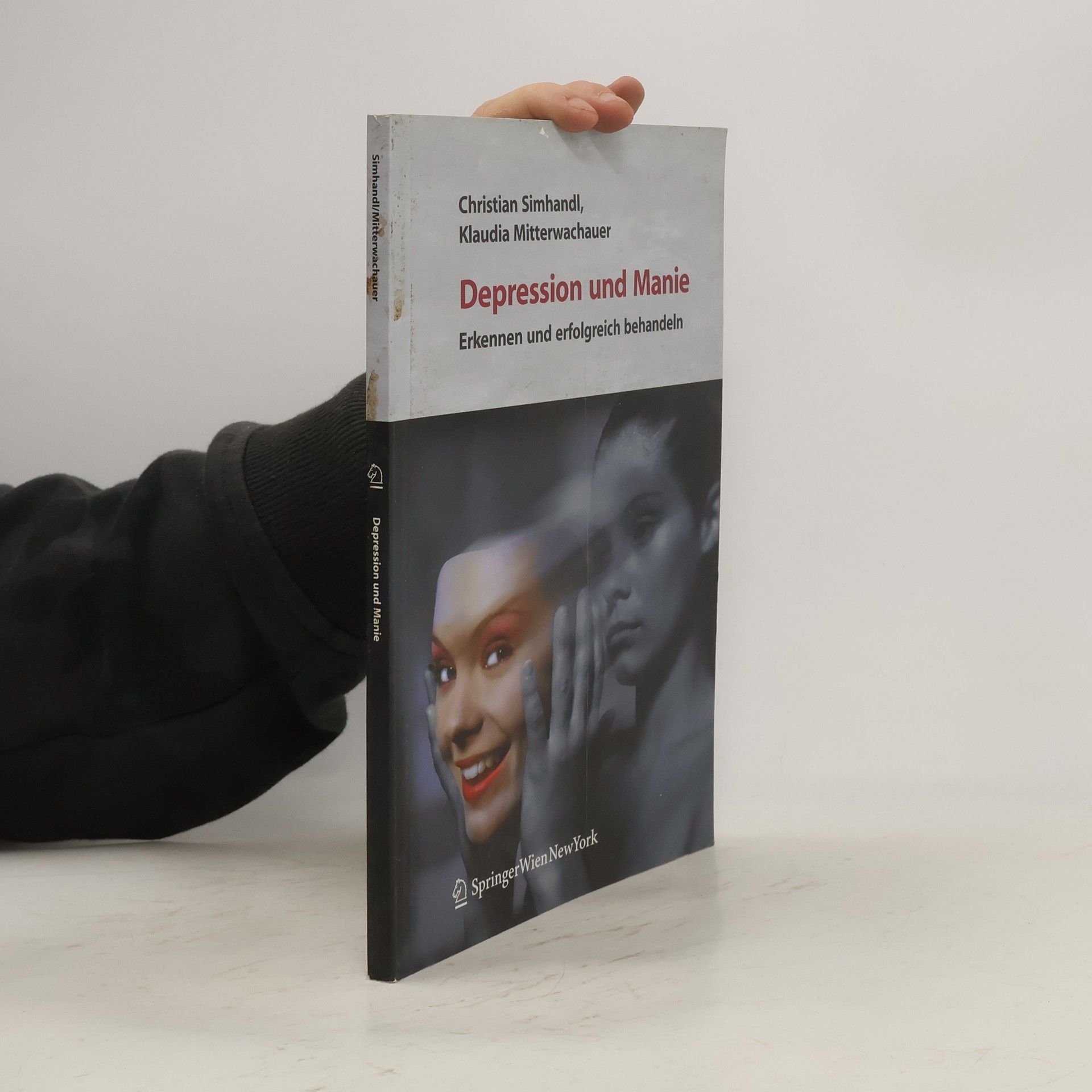 Christian Simhandl Depression und Manie