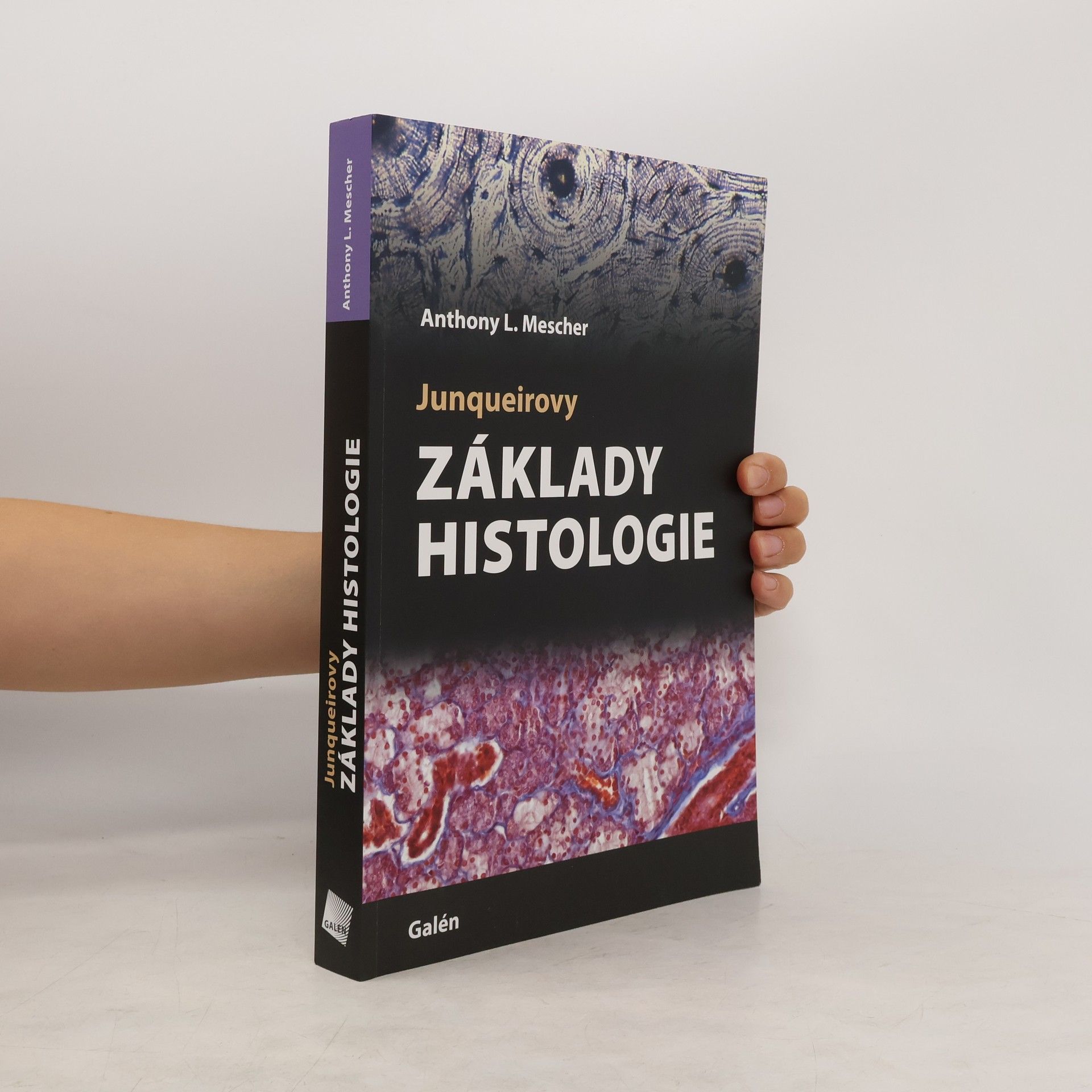 Anthony Mescher Junqueirovy základy histologie