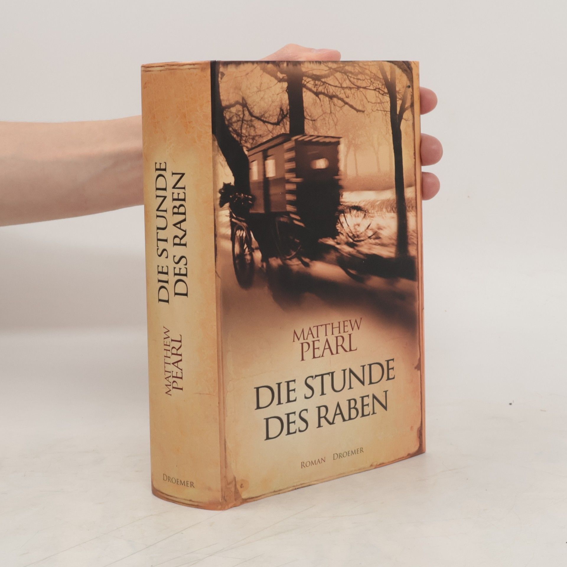 Matthew Pearl Die Stunde des Raben